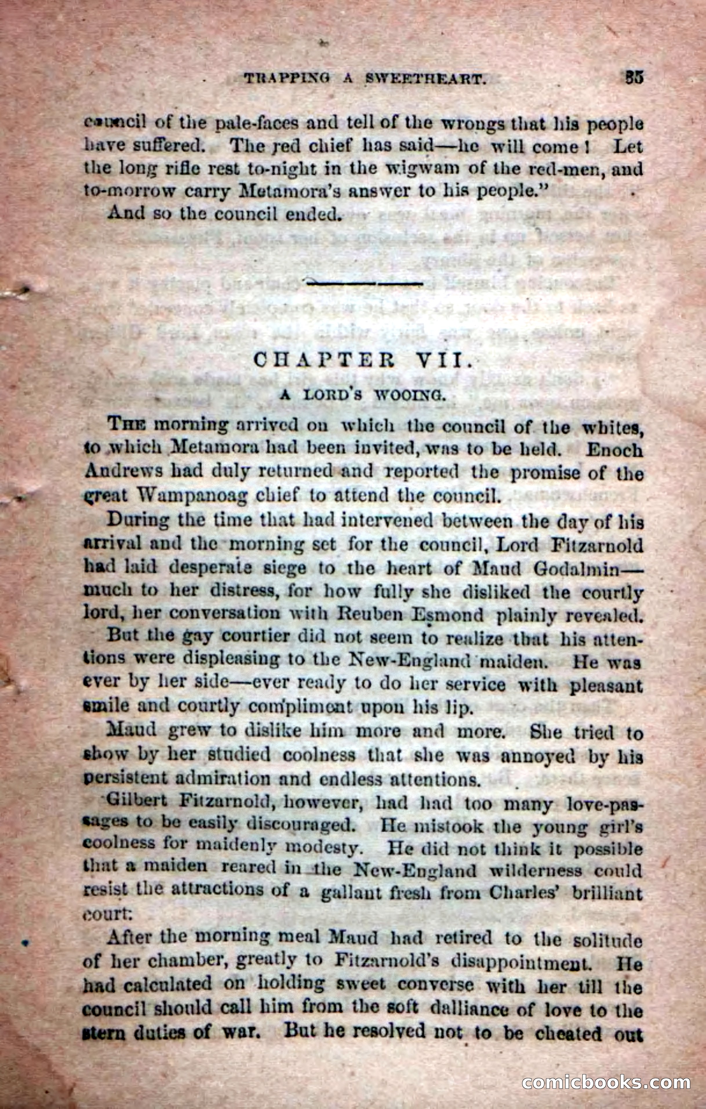 Beadle's Dime Novels No. 204: Metamora; or, The Forest King — page 33 of 98