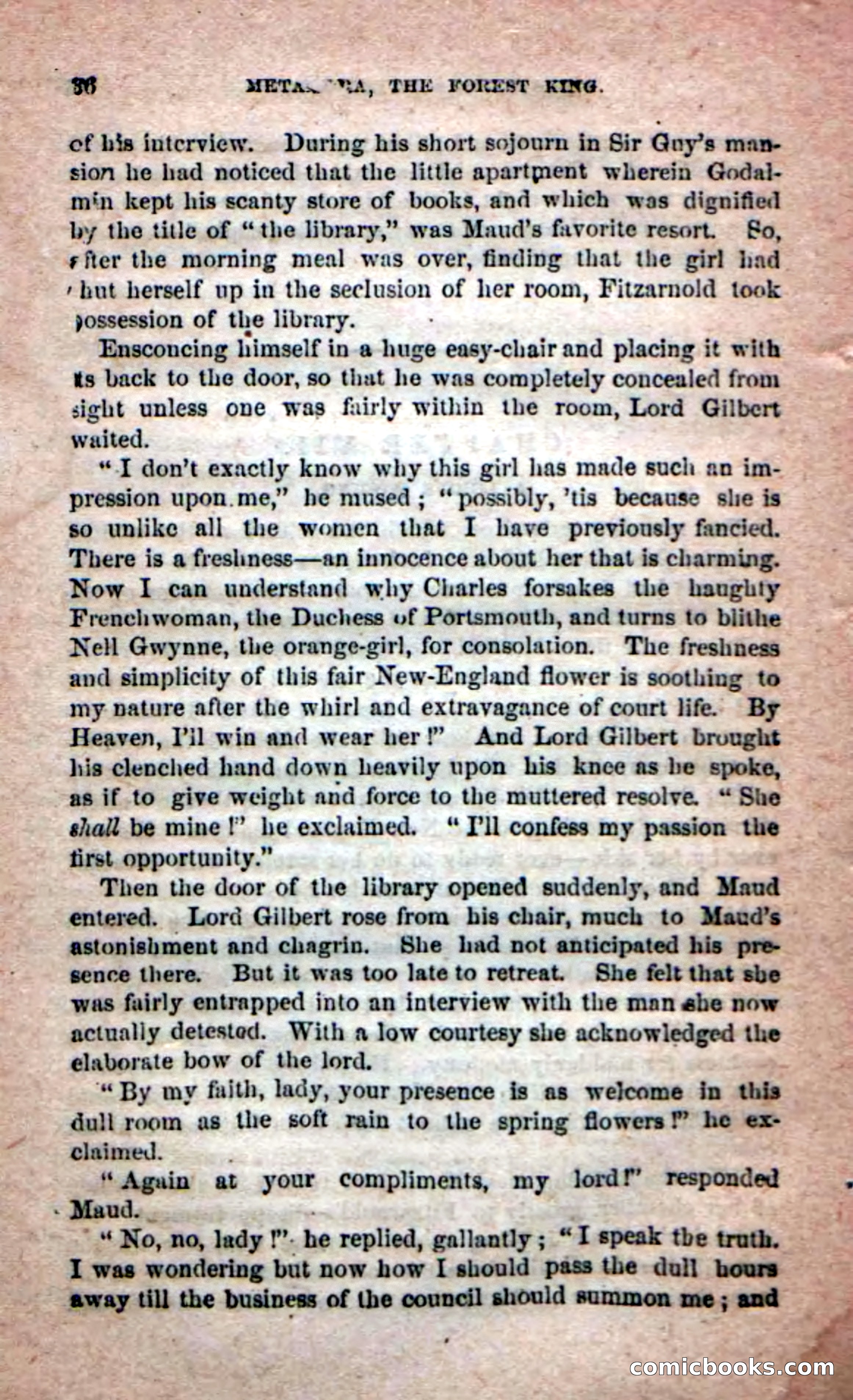 Beadle's Dime Novels No. 204: Metamora; or, The Forest King — page 34 of 98
