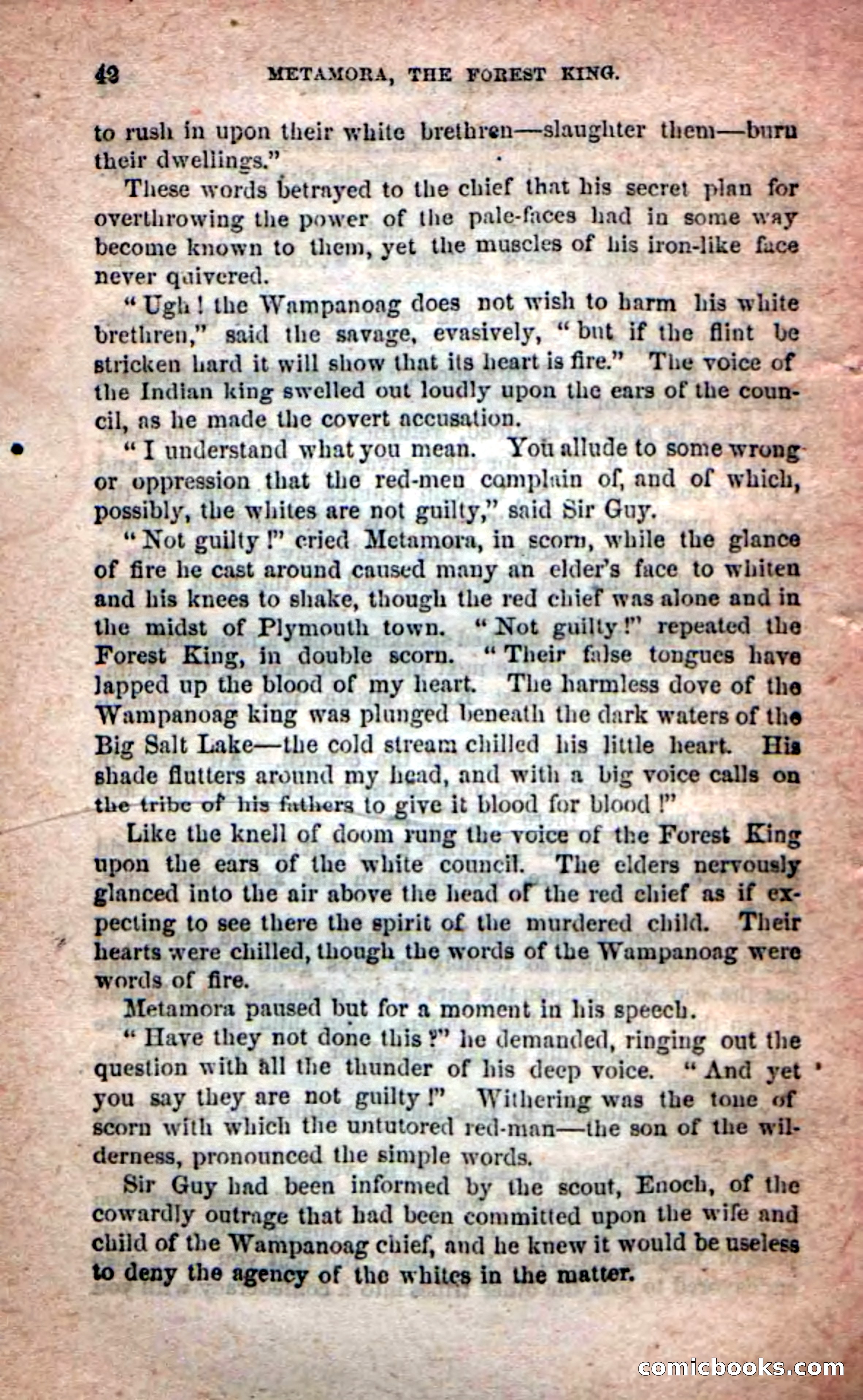 Beadle's Dime Novels No. 204: Metamora; or, The Forest King — page 40 of 98