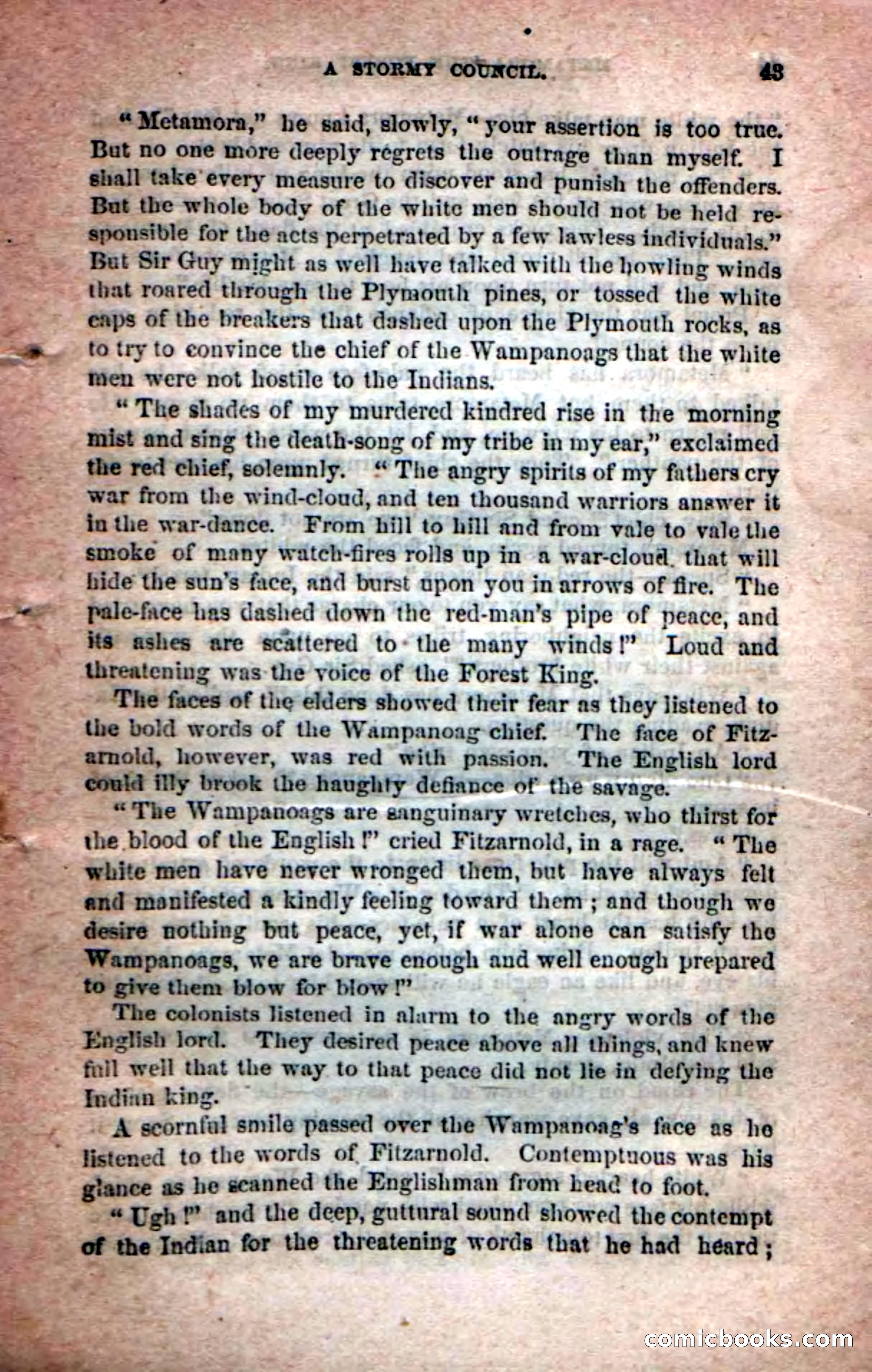Beadle's Dime Novels No. 204: Metamora; or, The Forest King — page 41 of 98