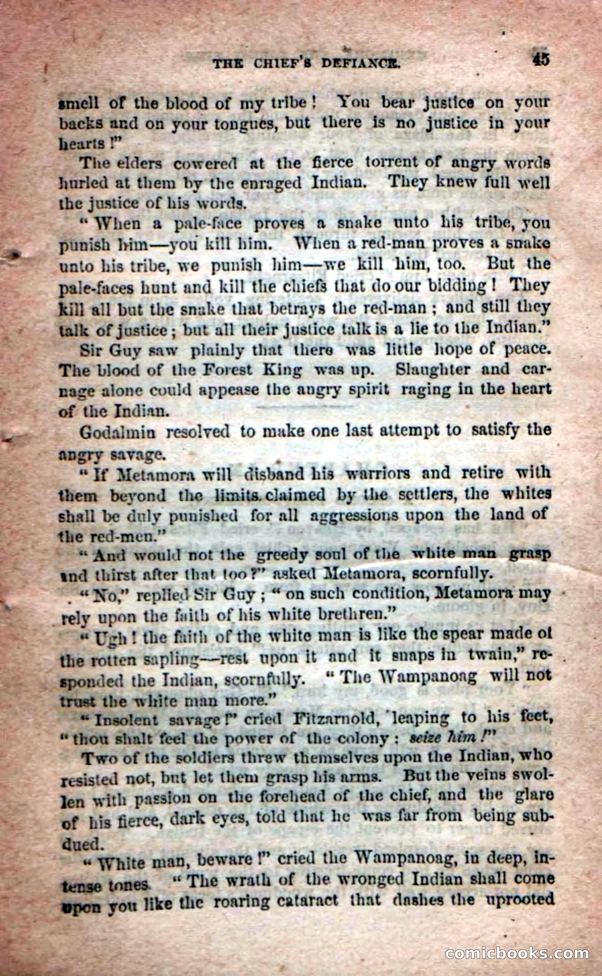 Beadle's Dime Novels No. 204: Metamora; or, The Forest King — page 43 of 98