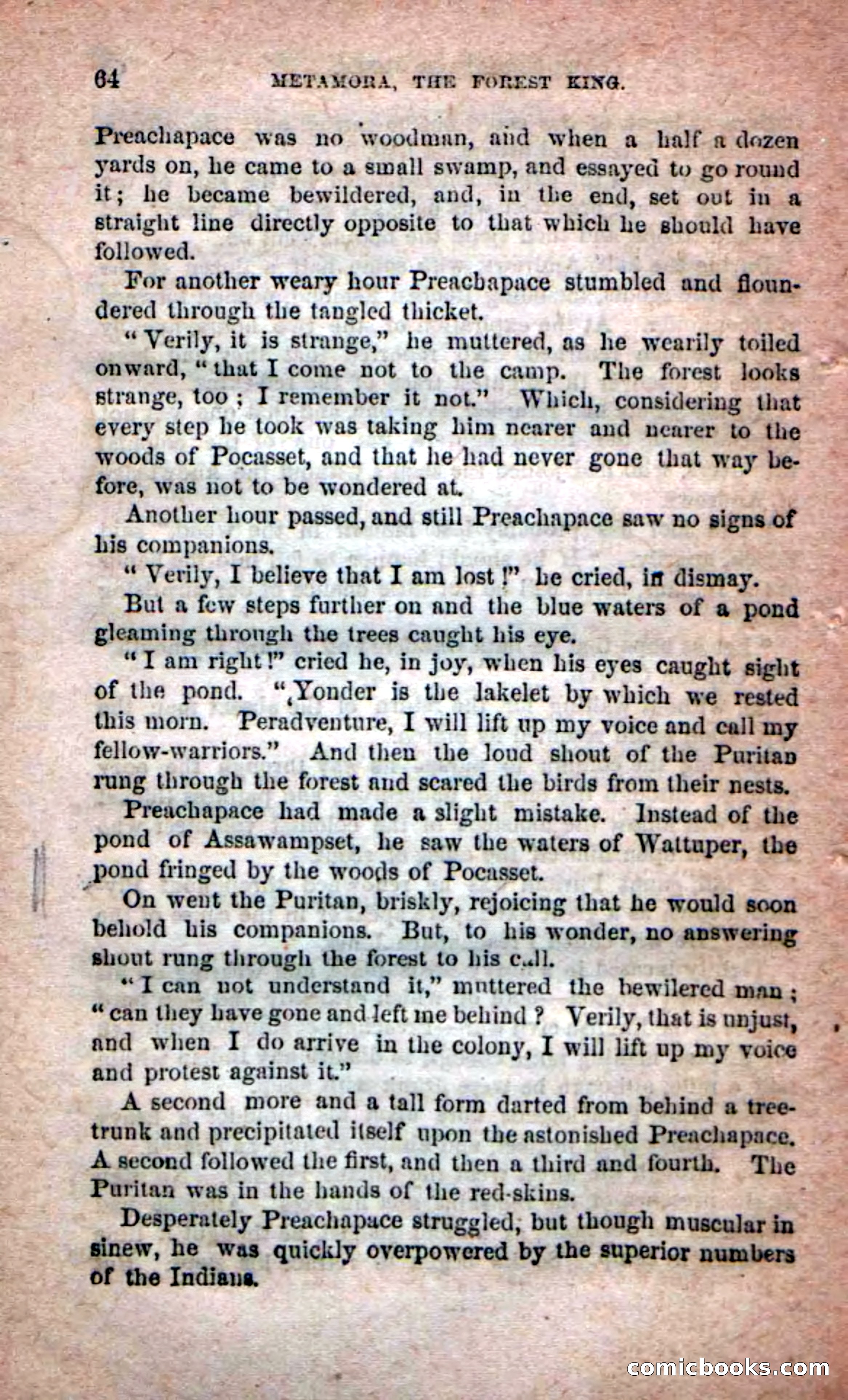 Beadle's Dime Novels No. 204: Metamora; or, The Forest King — page 62 of 98