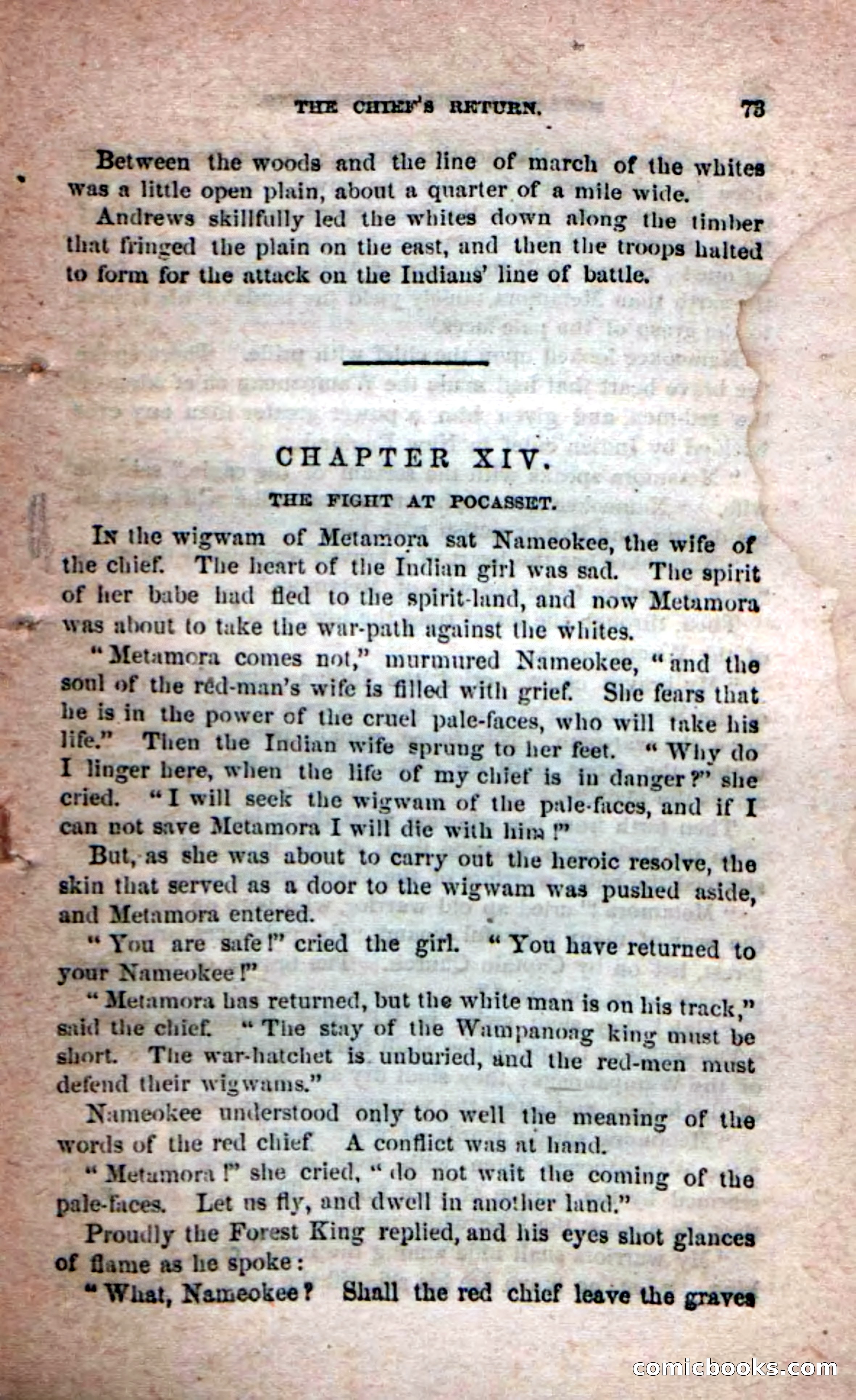 Beadle's Dime Novels No. 204: Metamora; or, The Forest King — page 71 of 98
