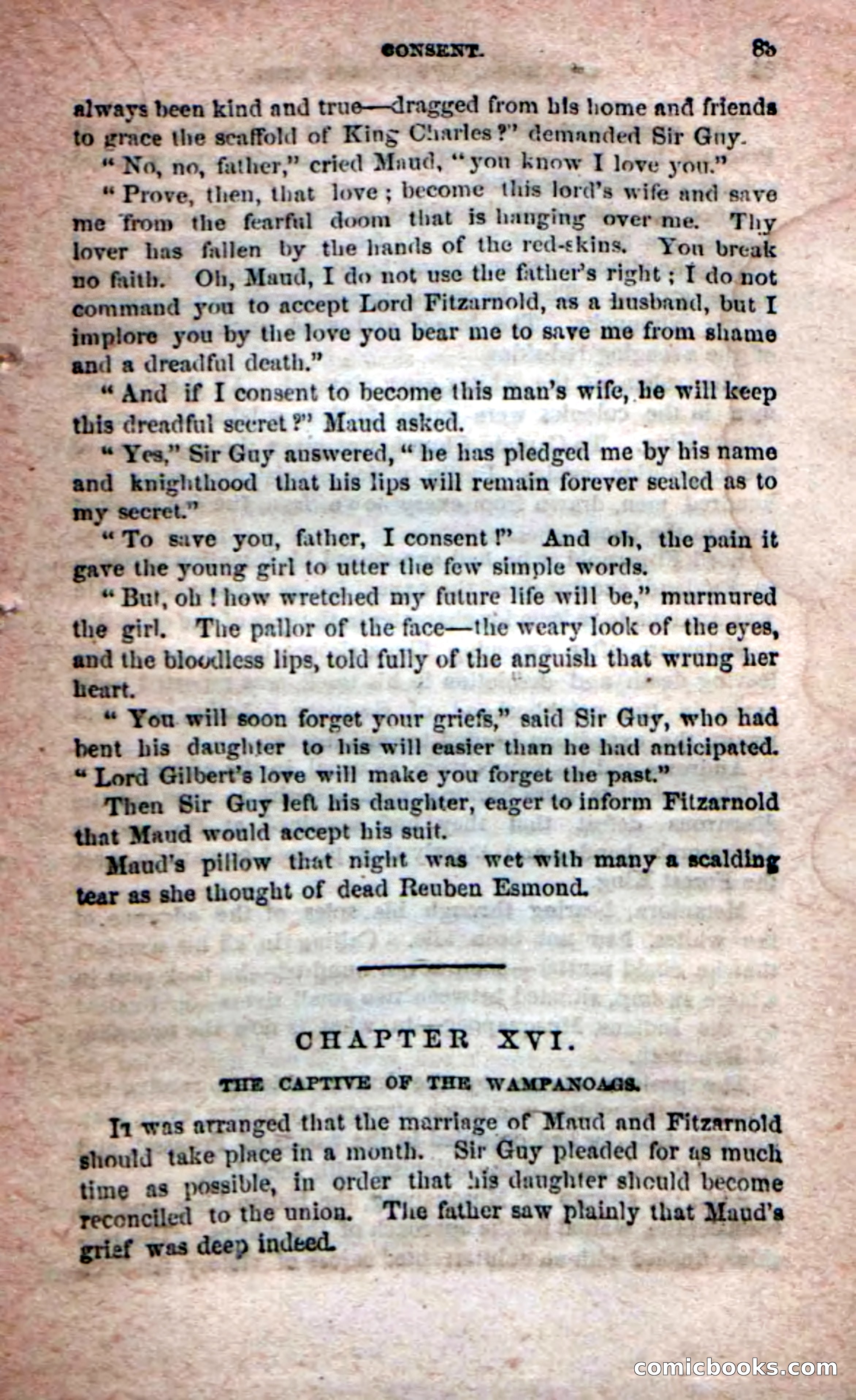 Beadle's Dime Novels No. 204: Metamora; or, The Forest King — page 79 of 98