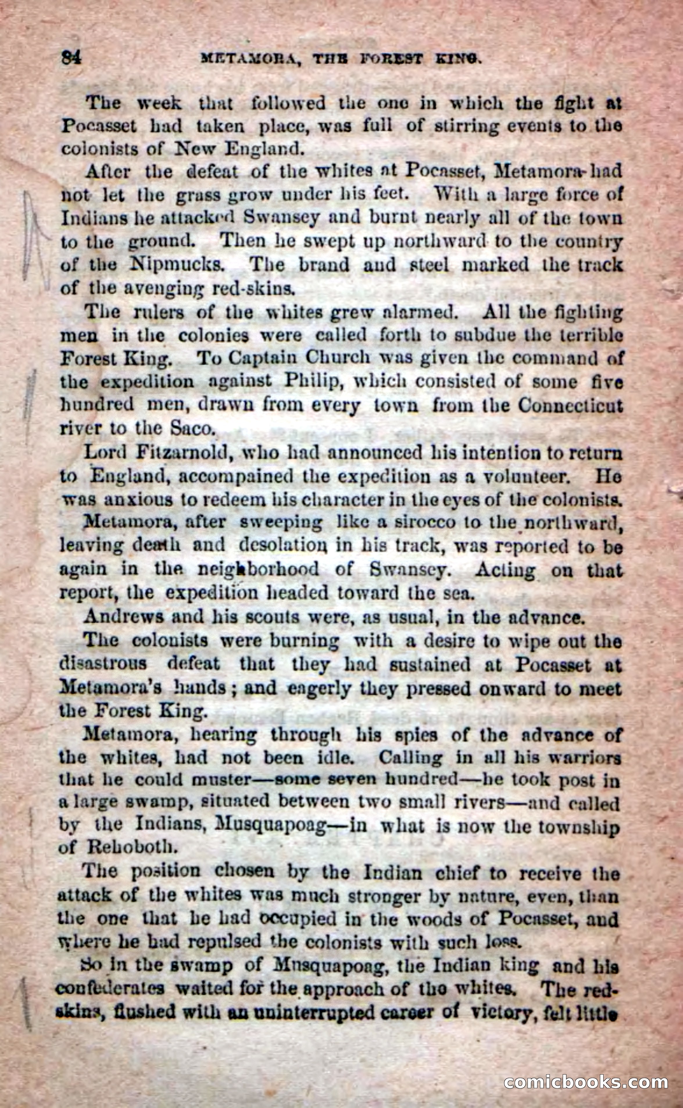 Beadle's Dime Novels No. 204: Metamora; or, The Forest King — page 80 of 98