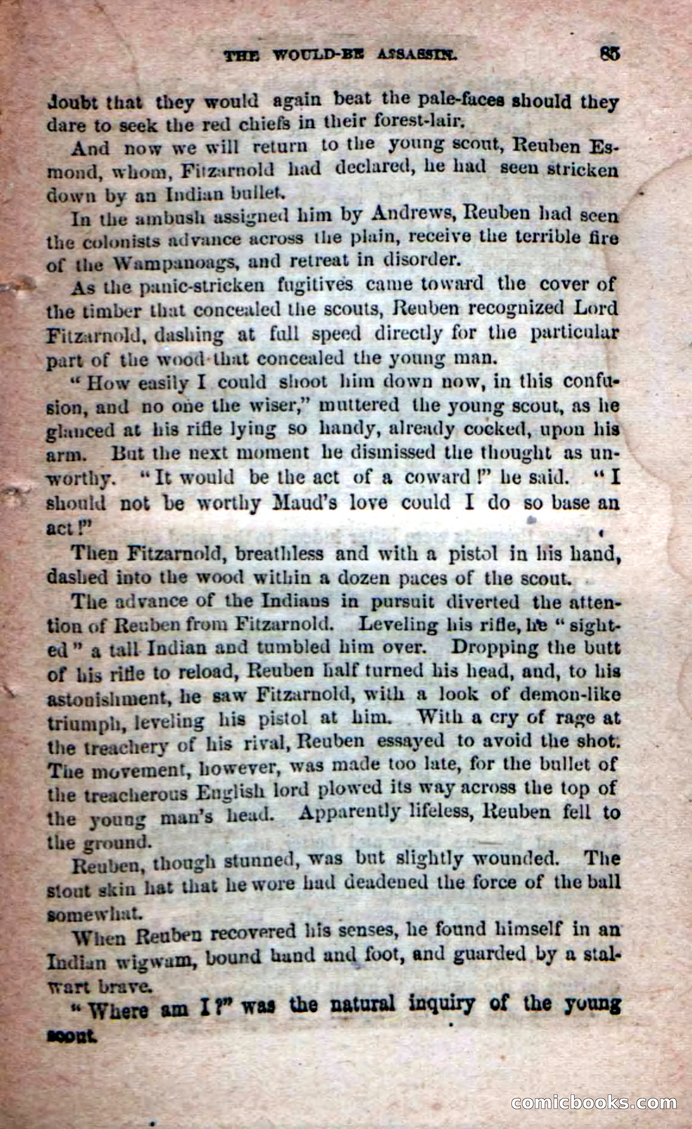 Beadle's Dime Novels No. 204: Metamora; or, The Forest King — page 81 of 98