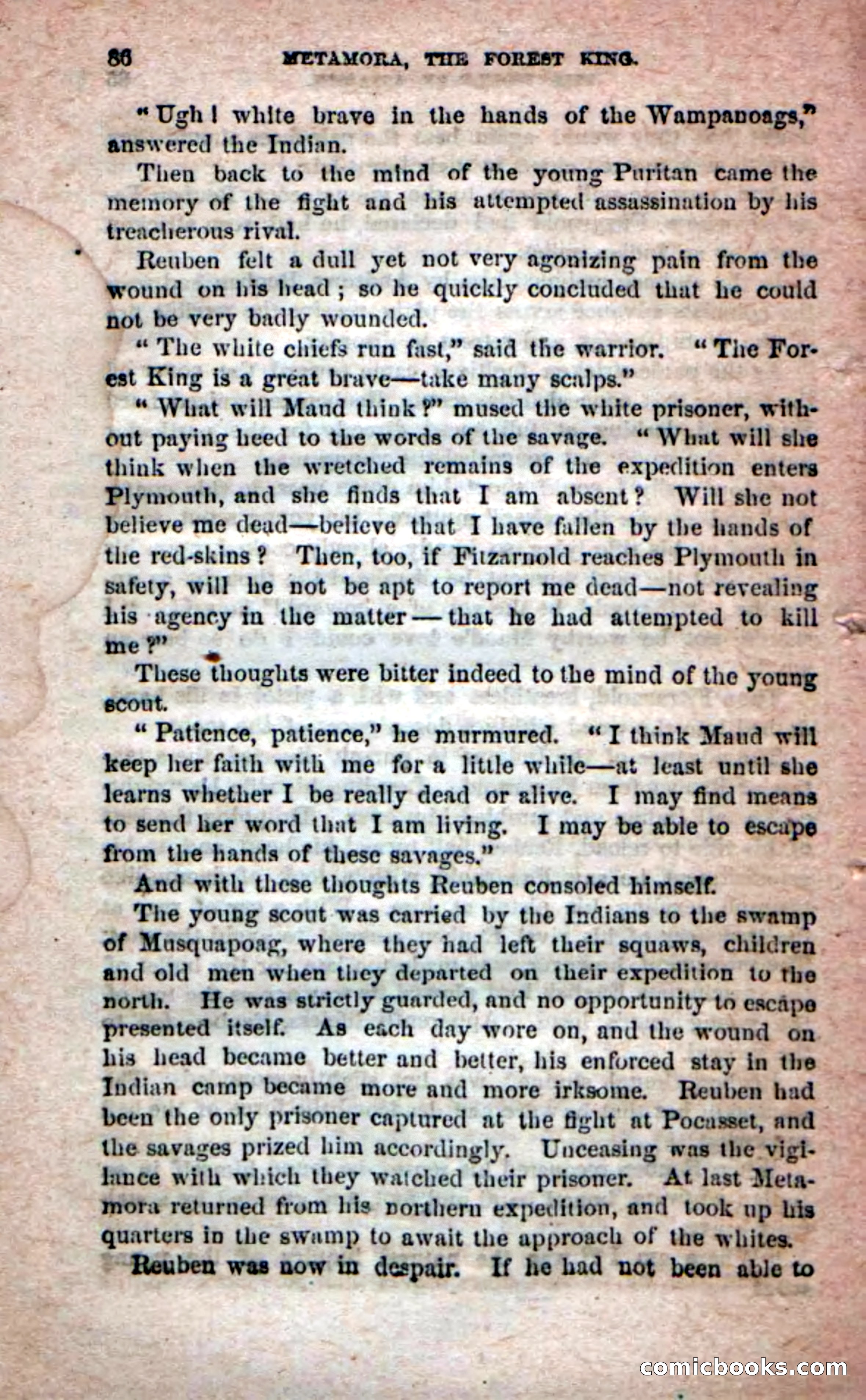 Beadle's Dime Novels No. 204: Metamora; or, The Forest King — page 82 of 98
