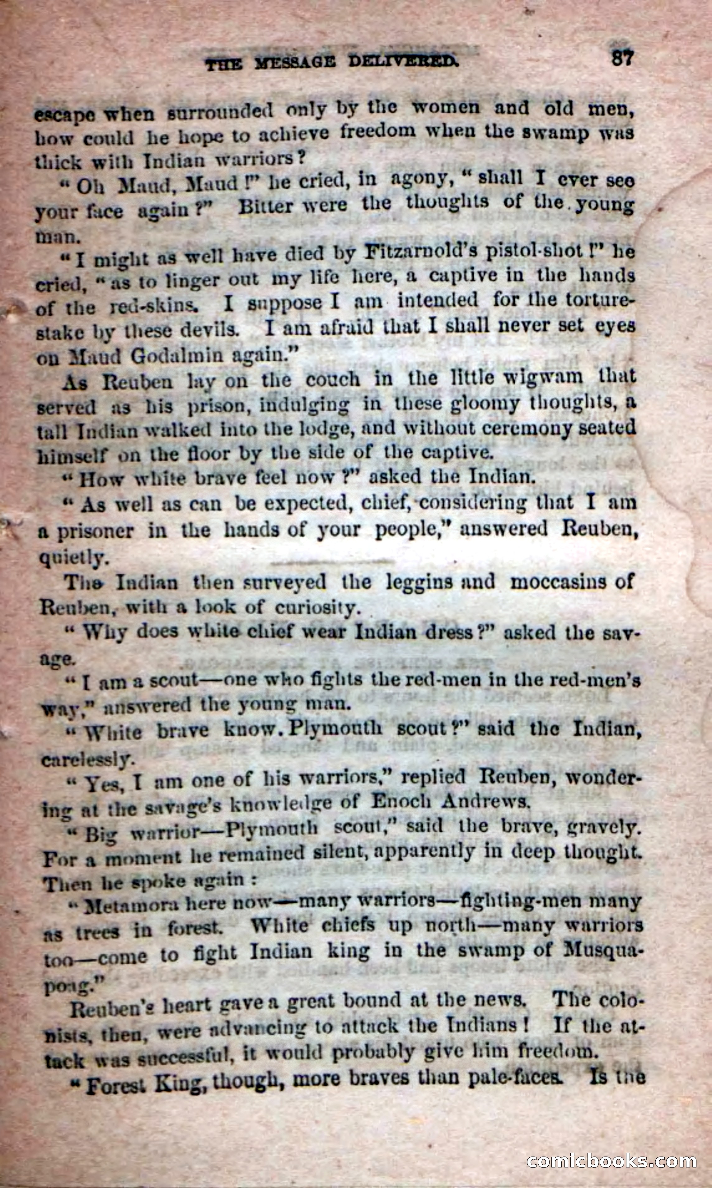 Beadle's Dime Novels No. 204: Metamora; or, The Forest King — page 83 of 98