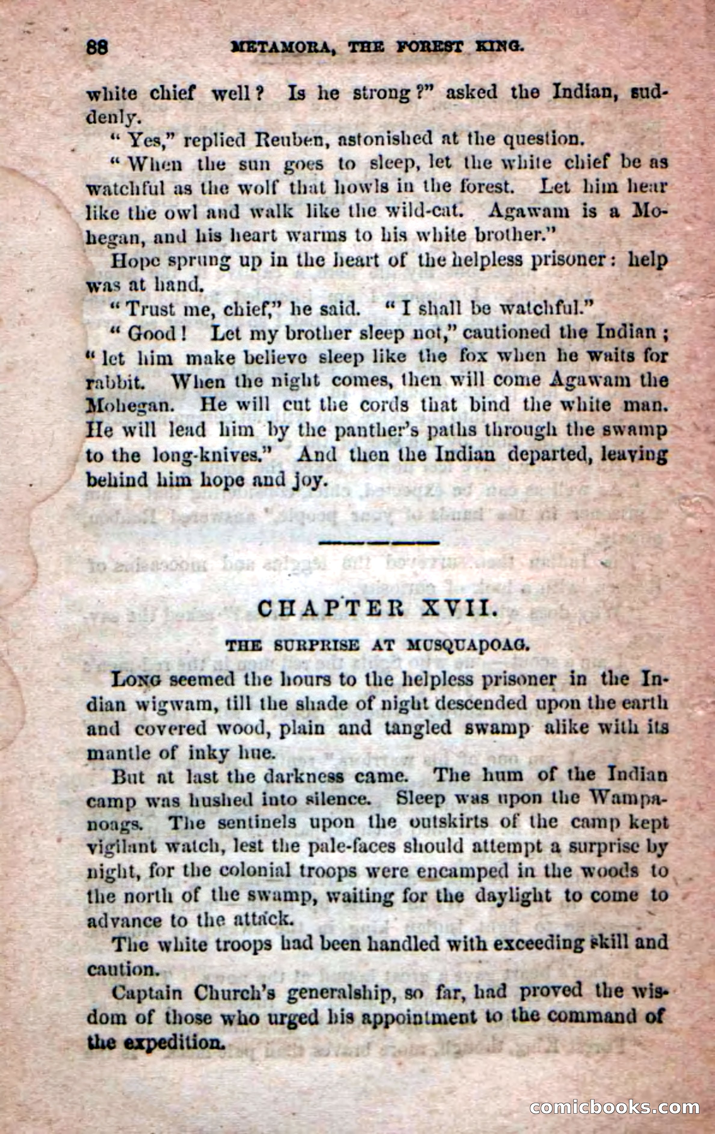 Beadle's Dime Novels No. 204: Metamora; or, The Forest King — page 84 of 98