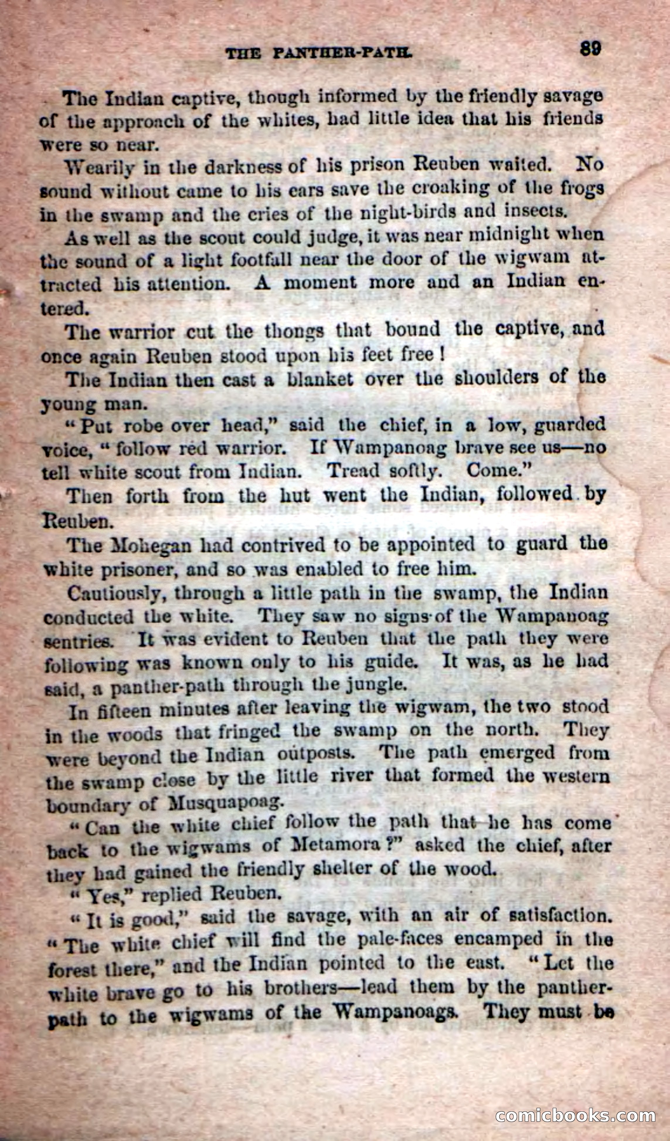 Beadle's Dime Novels No. 204: Metamora; or, The Forest King — page 85 of 98
