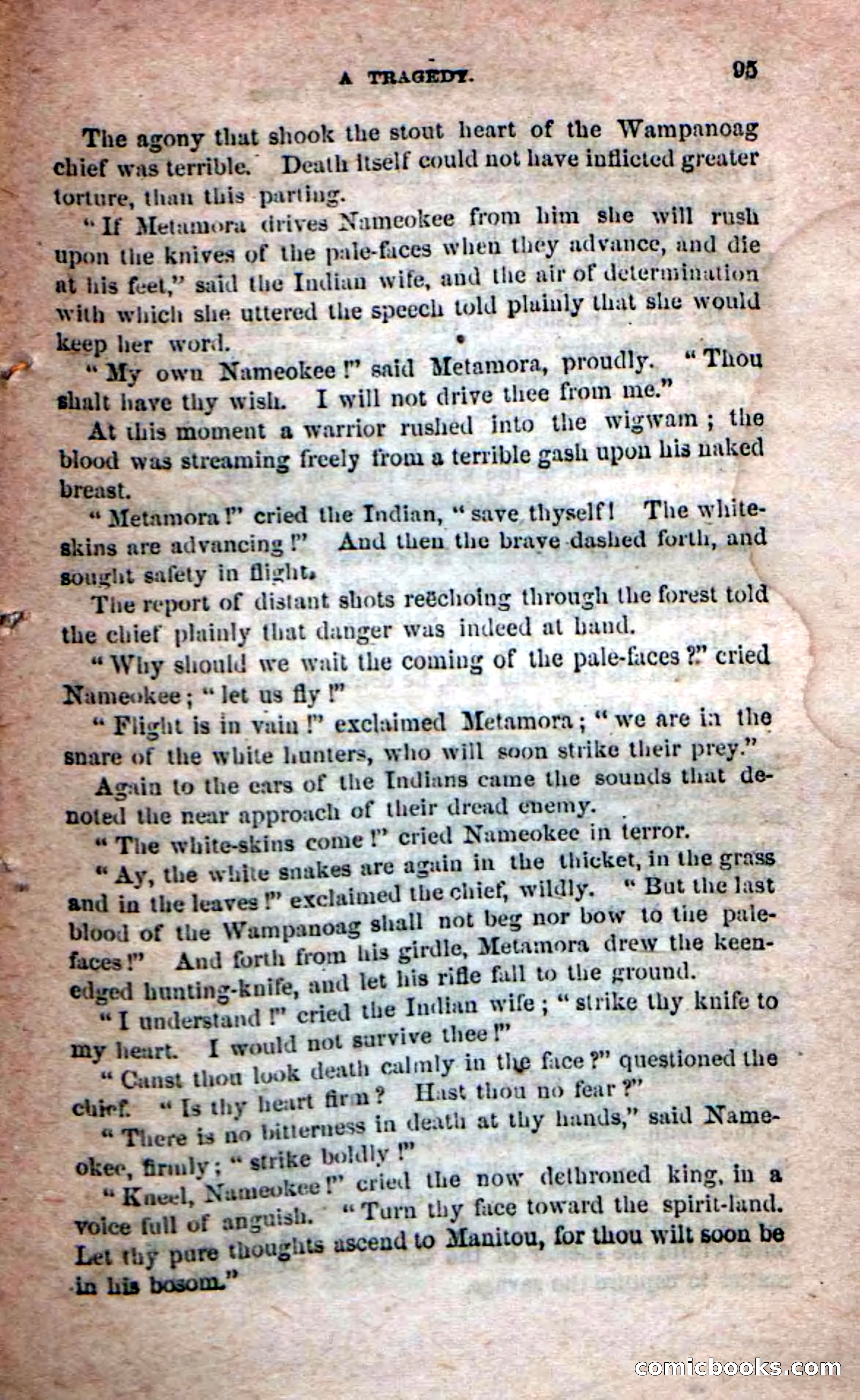 Beadle's Dime Novels No. 204: Metamora; or, The Forest King — page 91 of 98