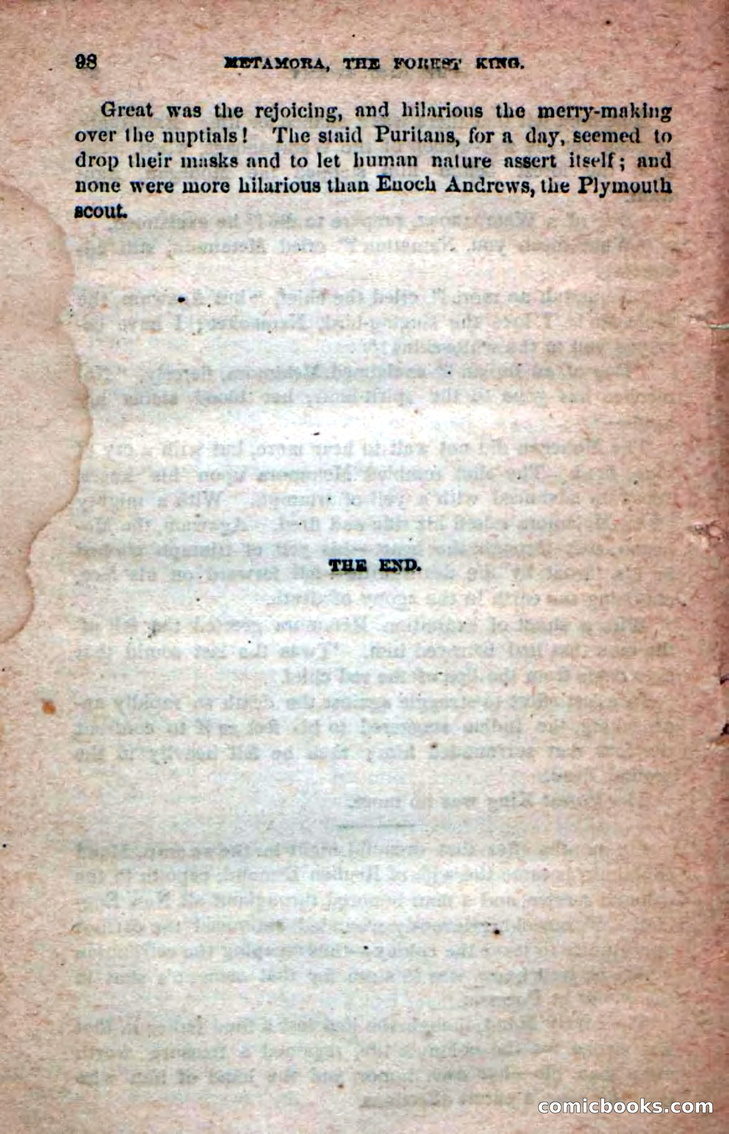 Beadle's Dime Novels No. 204: Metamora; or, The Forest King — page 94 of 98