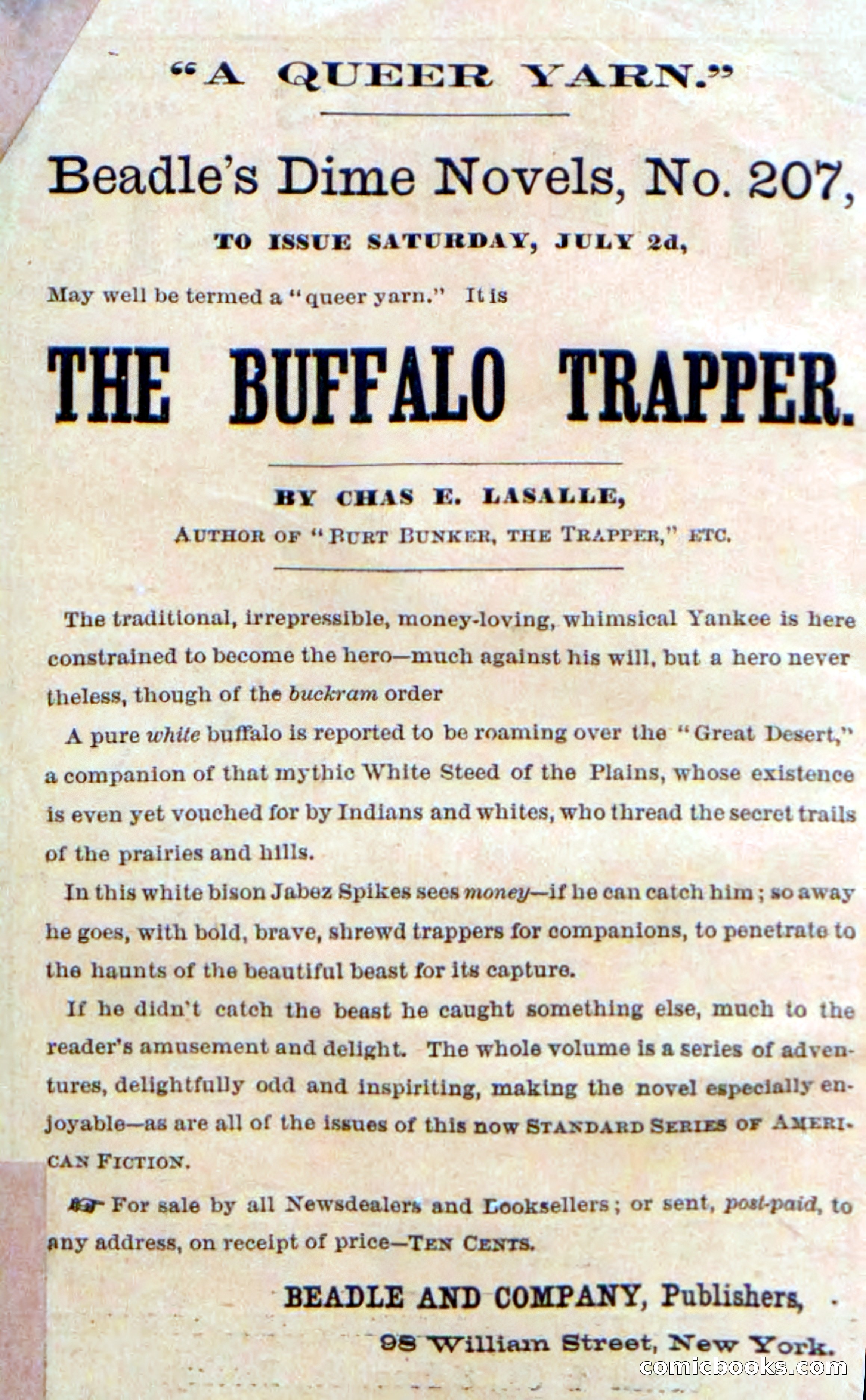 Beadle's Dime Novels No. 206: Buckskin Bill — page 2 of 100