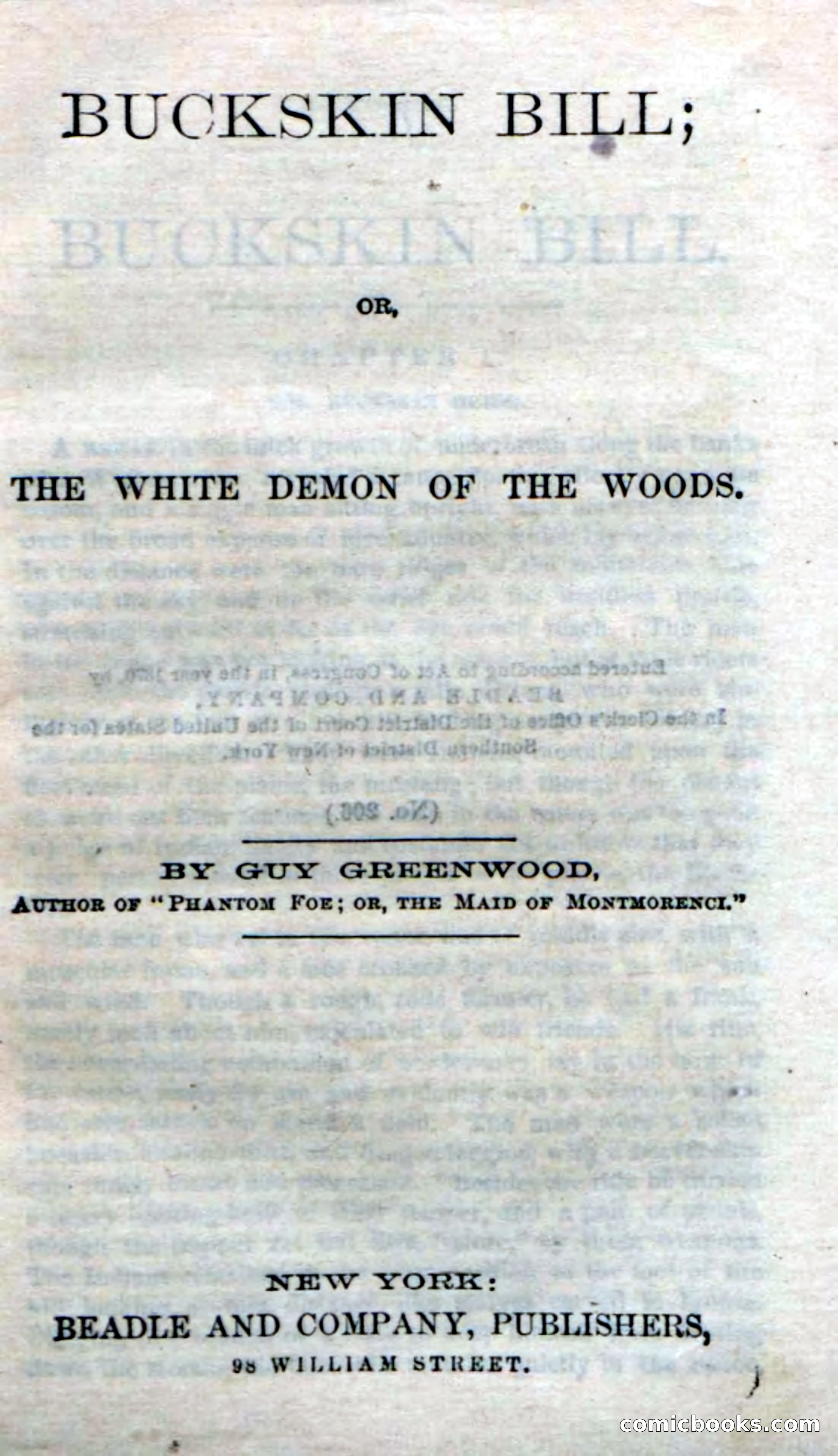 Beadle's Dime Novels No. 206: Buckskin Bill — page 5 of 100