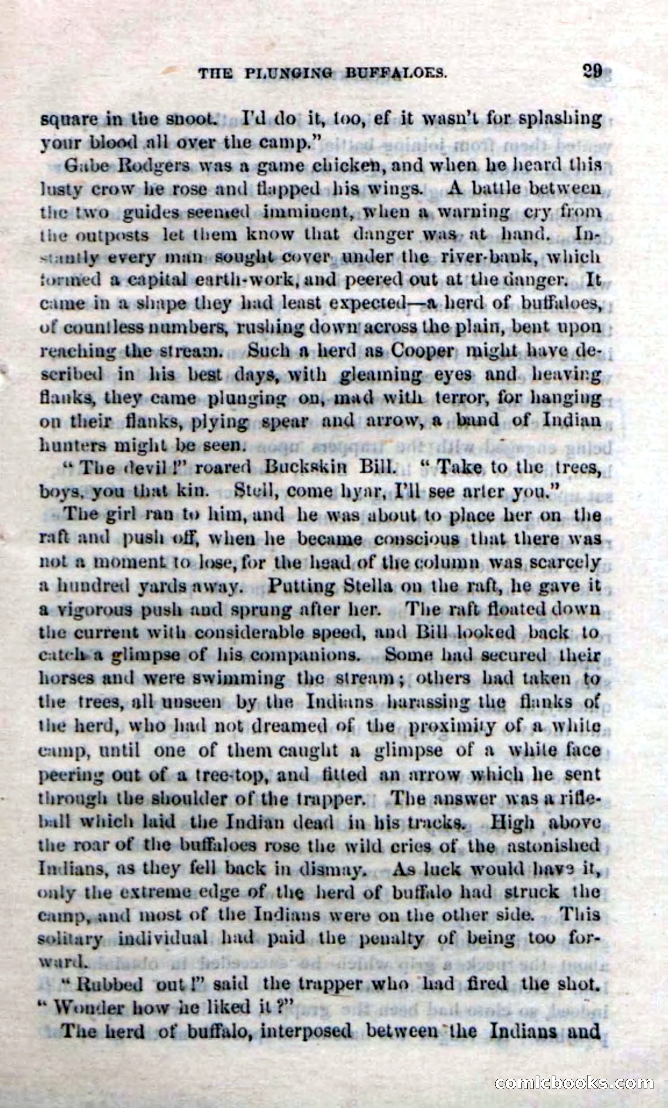 Beadle's Dime Novels No. 206: Buckskin Bill — page 27 of 100
