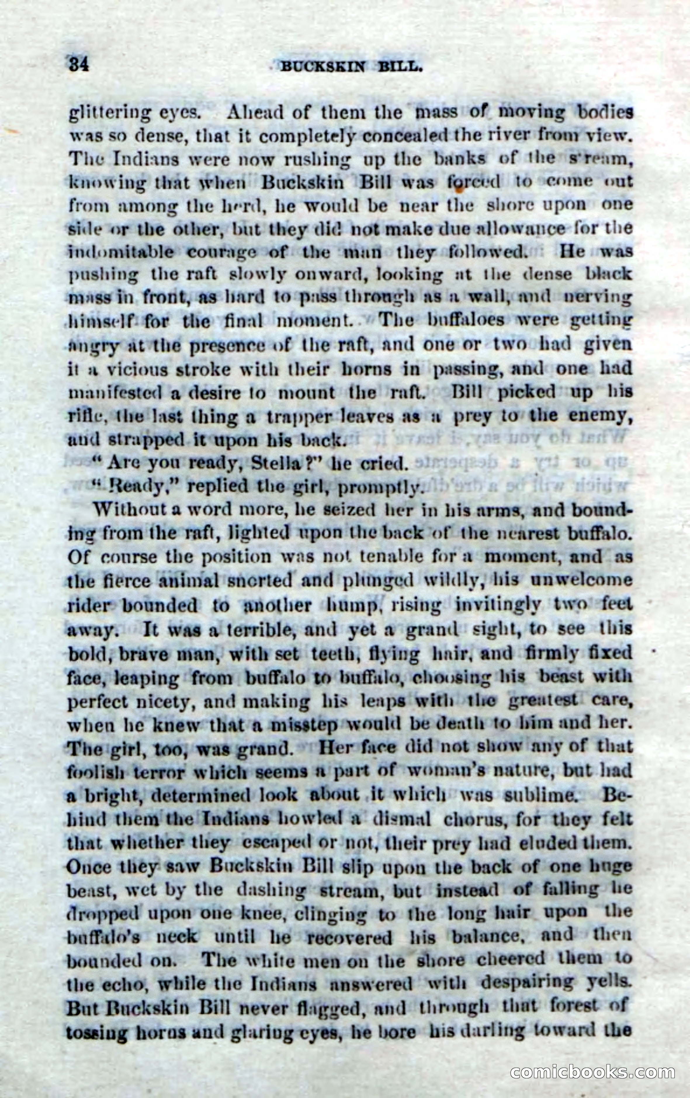 Beadle's Dime Novels No. 206: Buckskin Bill — page 32 of 100