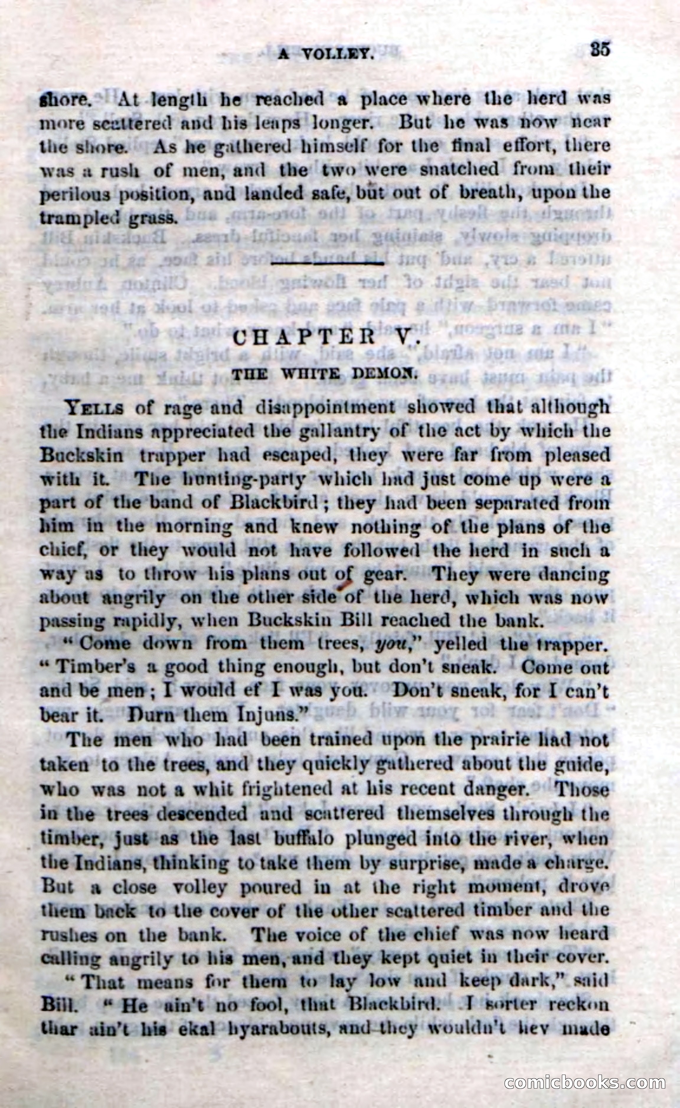 Beadle's Dime Novels No. 206: Buckskin Bill — page 33 of 100