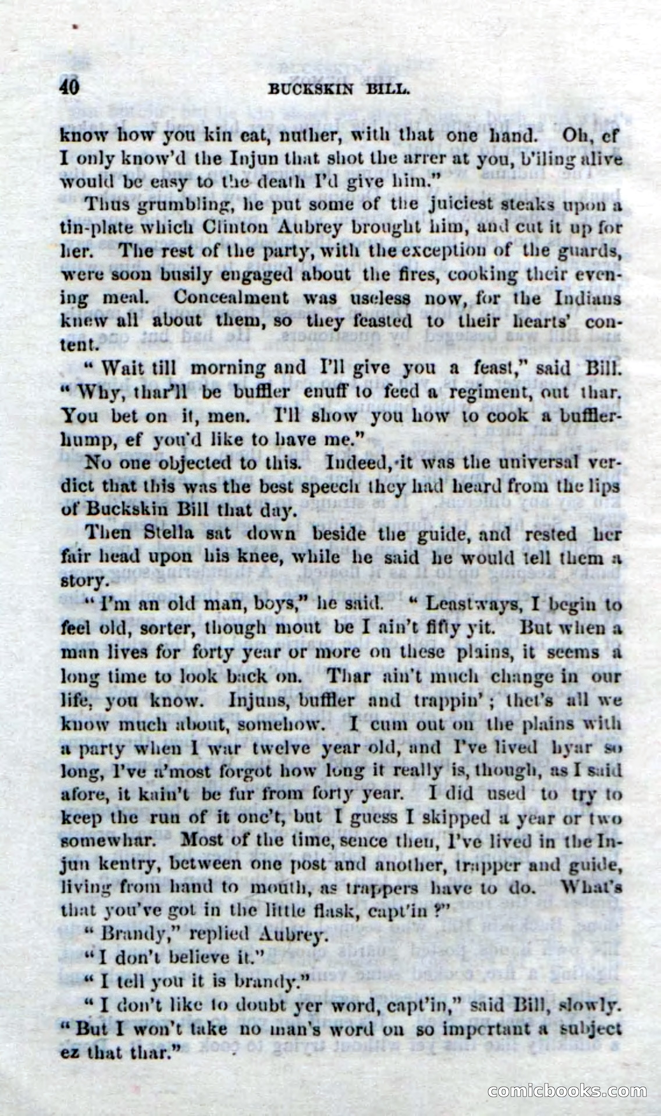 Beadle's Dime Novels No. 206: Buckskin Bill — page 38 of 100