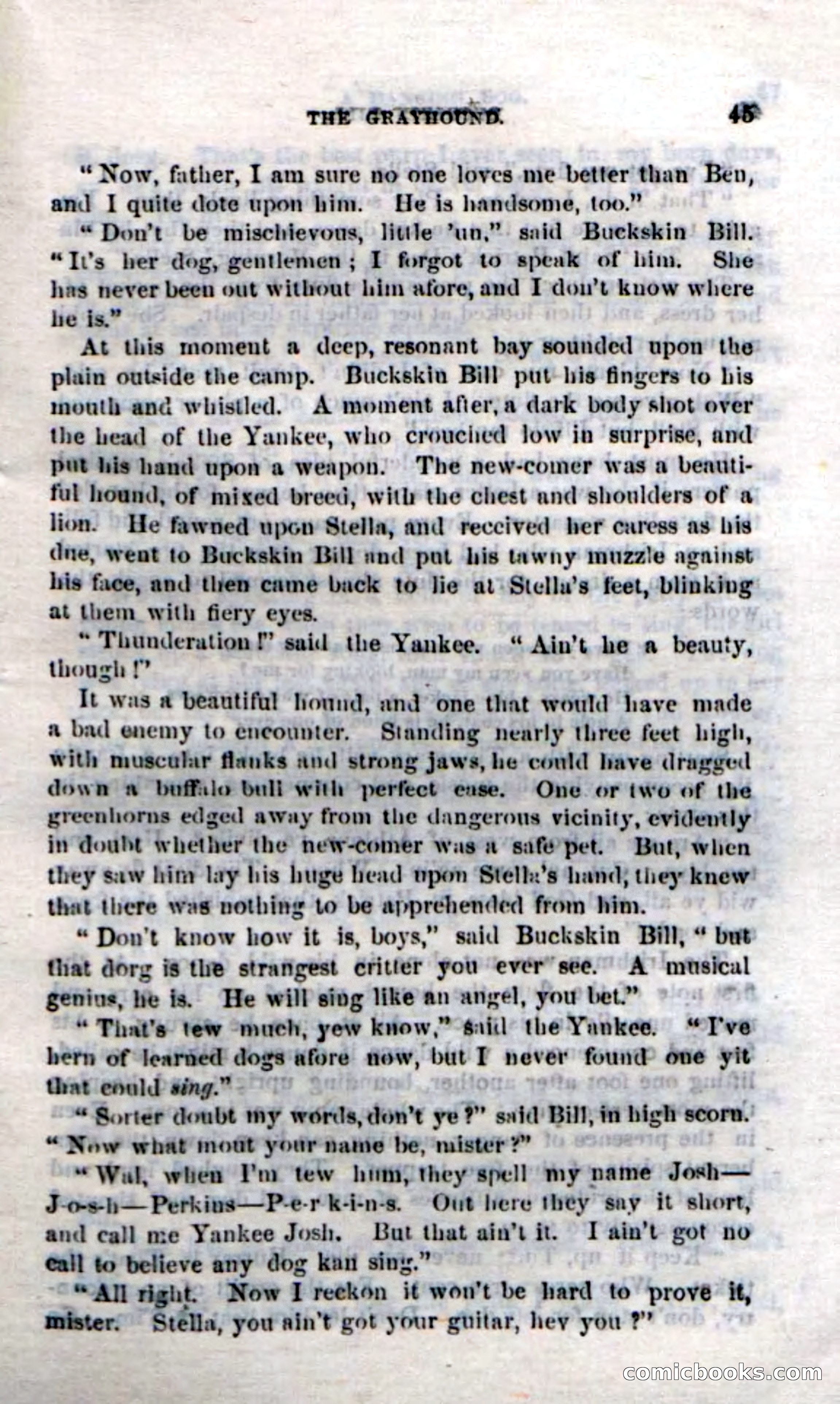 Beadle's Dime Novels No. 206: Buckskin Bill — page 43 of 100