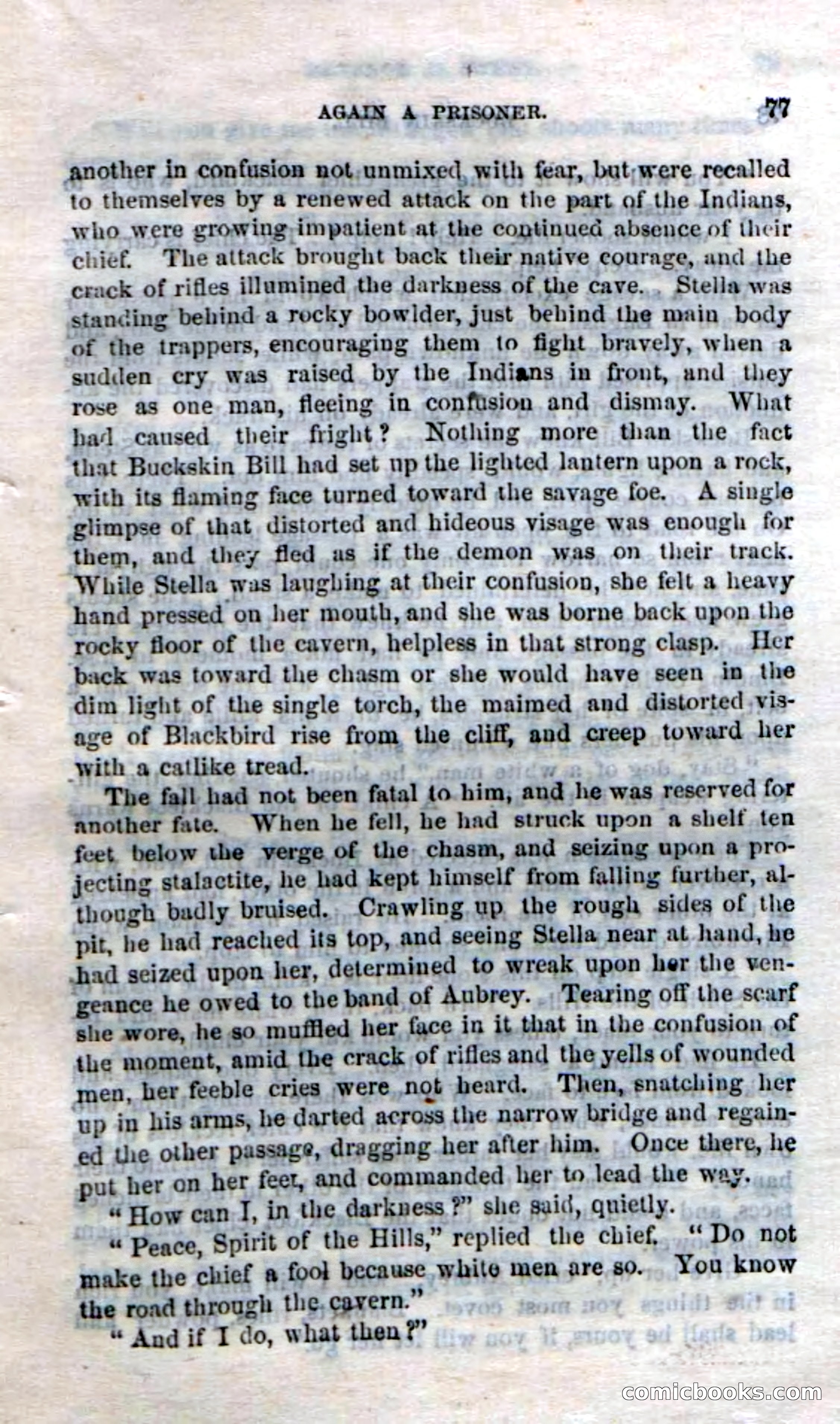 Beadle's Dime Novels No. 206: Buckskin Bill — page 75 of 100