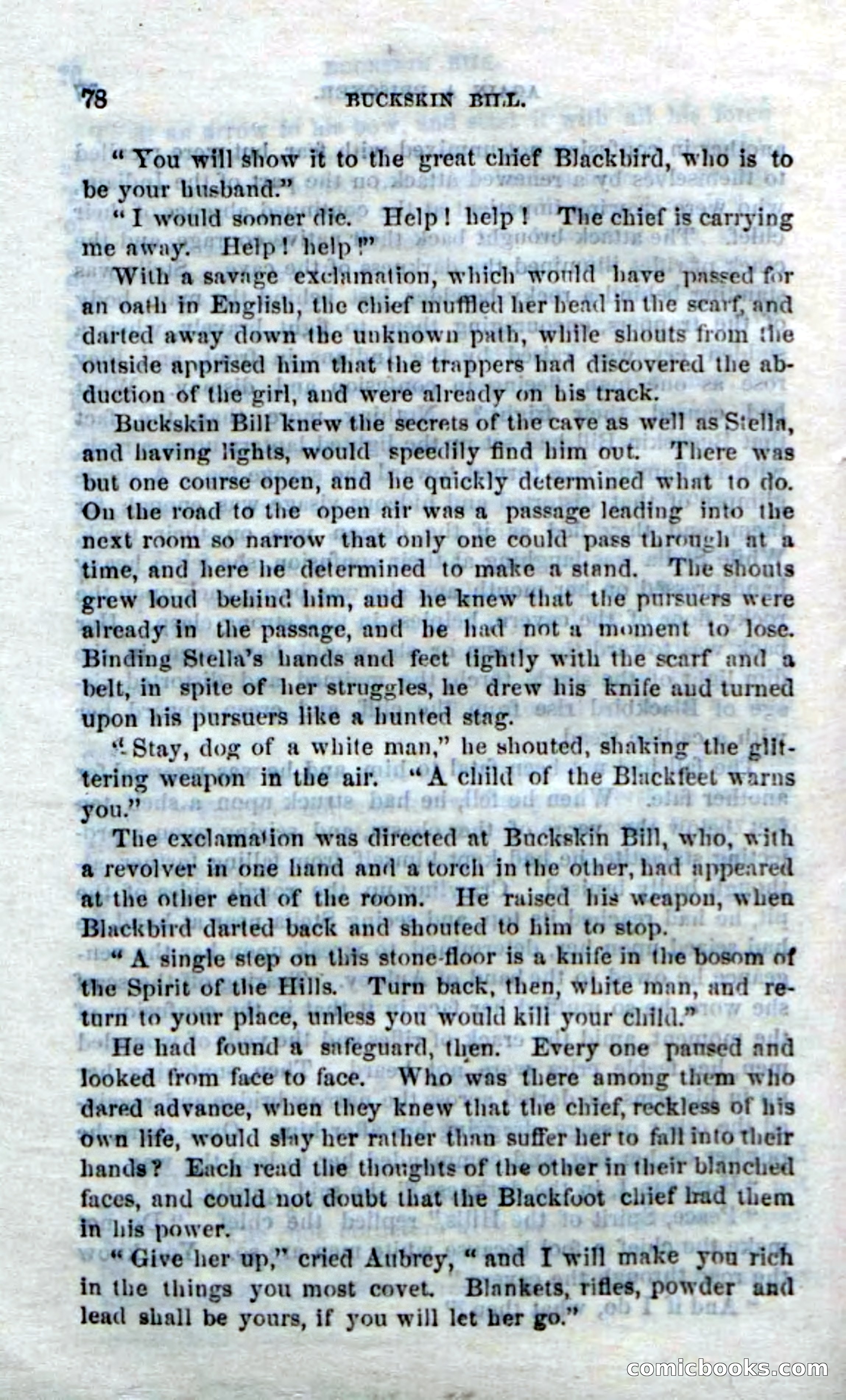 Beadle's Dime Novels No. 206: Buckskin Bill — page 76 of 100