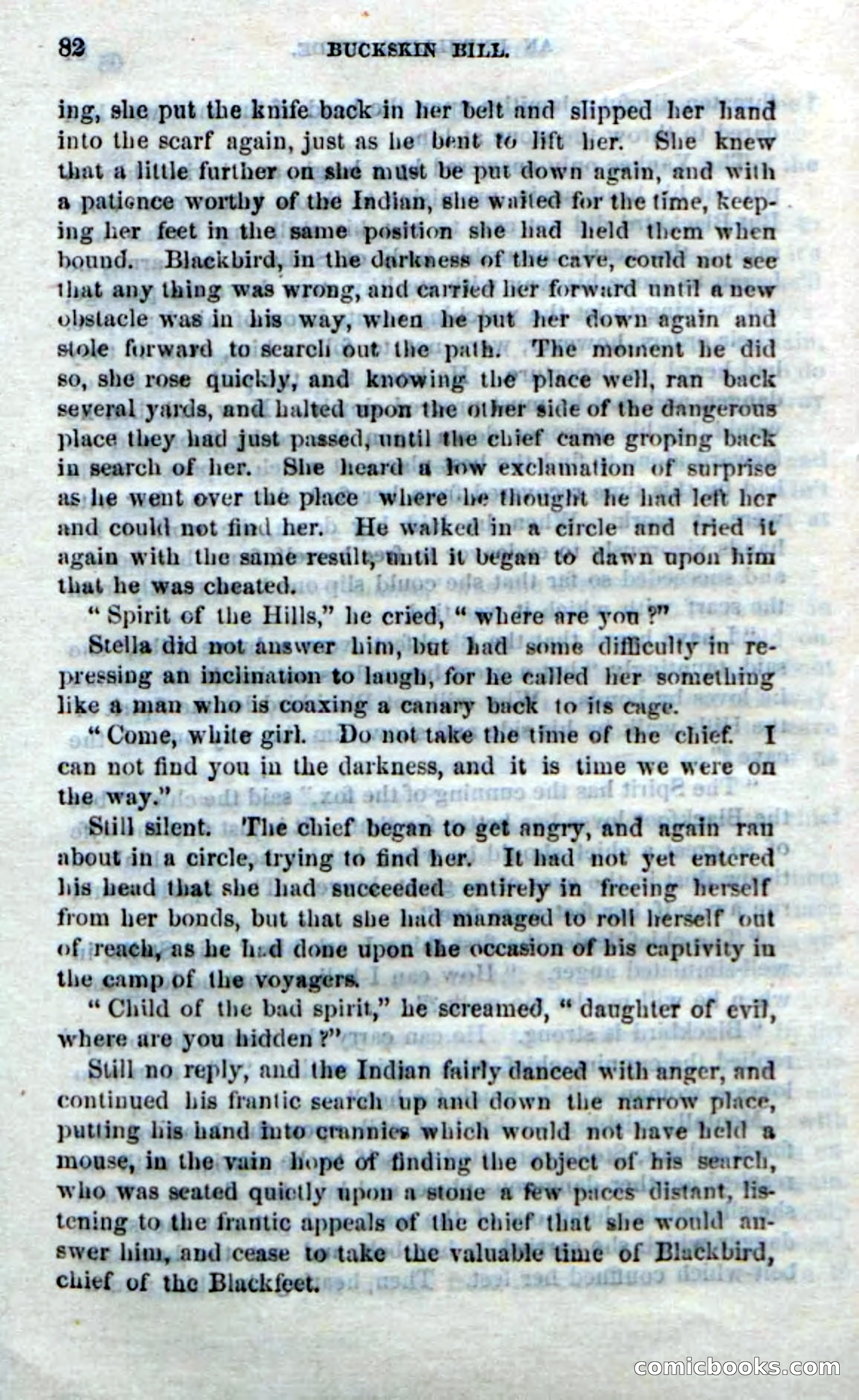 Beadle's Dime Novels No. 206: Buckskin Bill — page 80 of 100