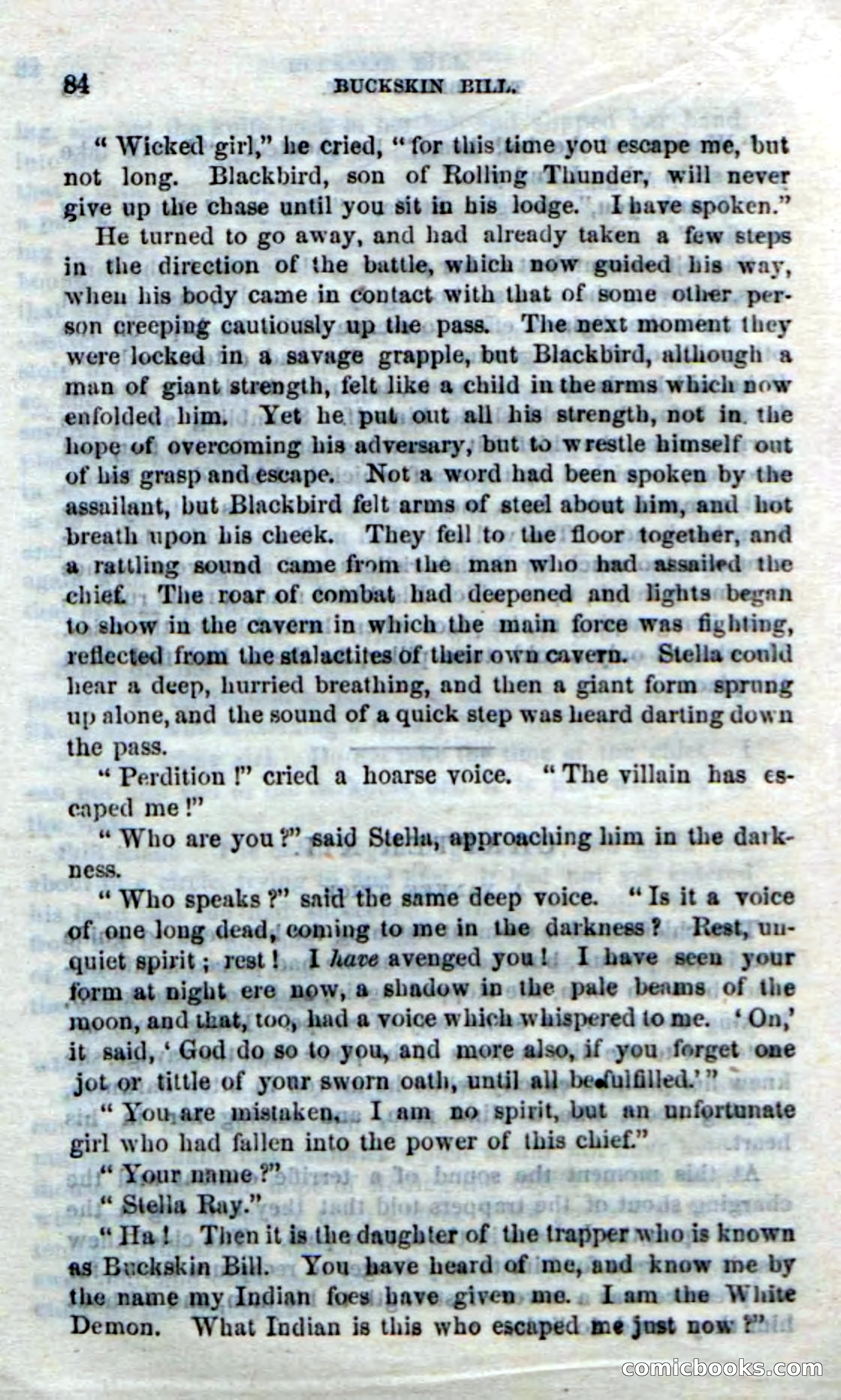 Beadle's Dime Novels No. 206: Buckskin Bill — page 82 of 100