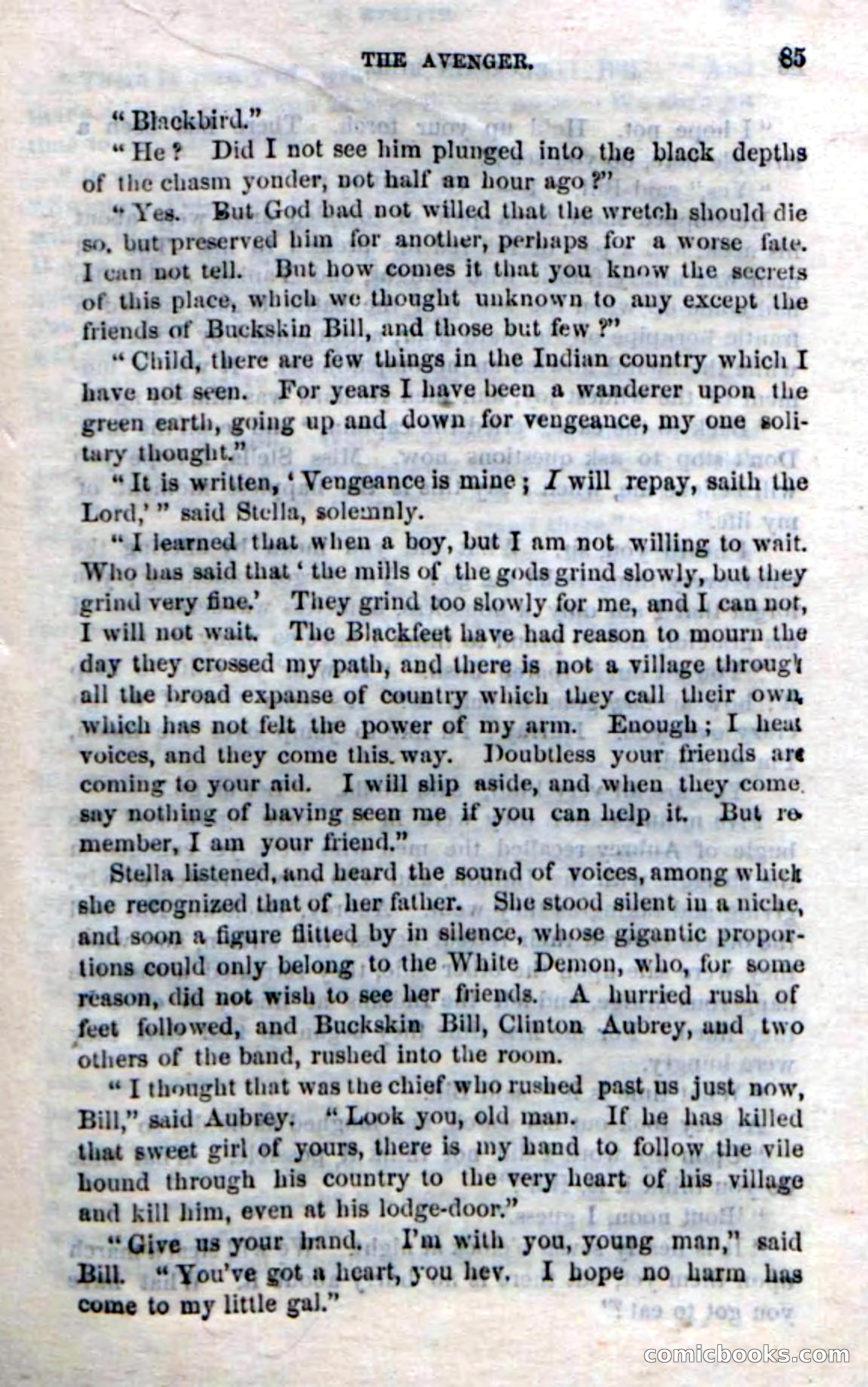 Beadle's Dime Novels No. 206: Buckskin Bill — page 83 of 100