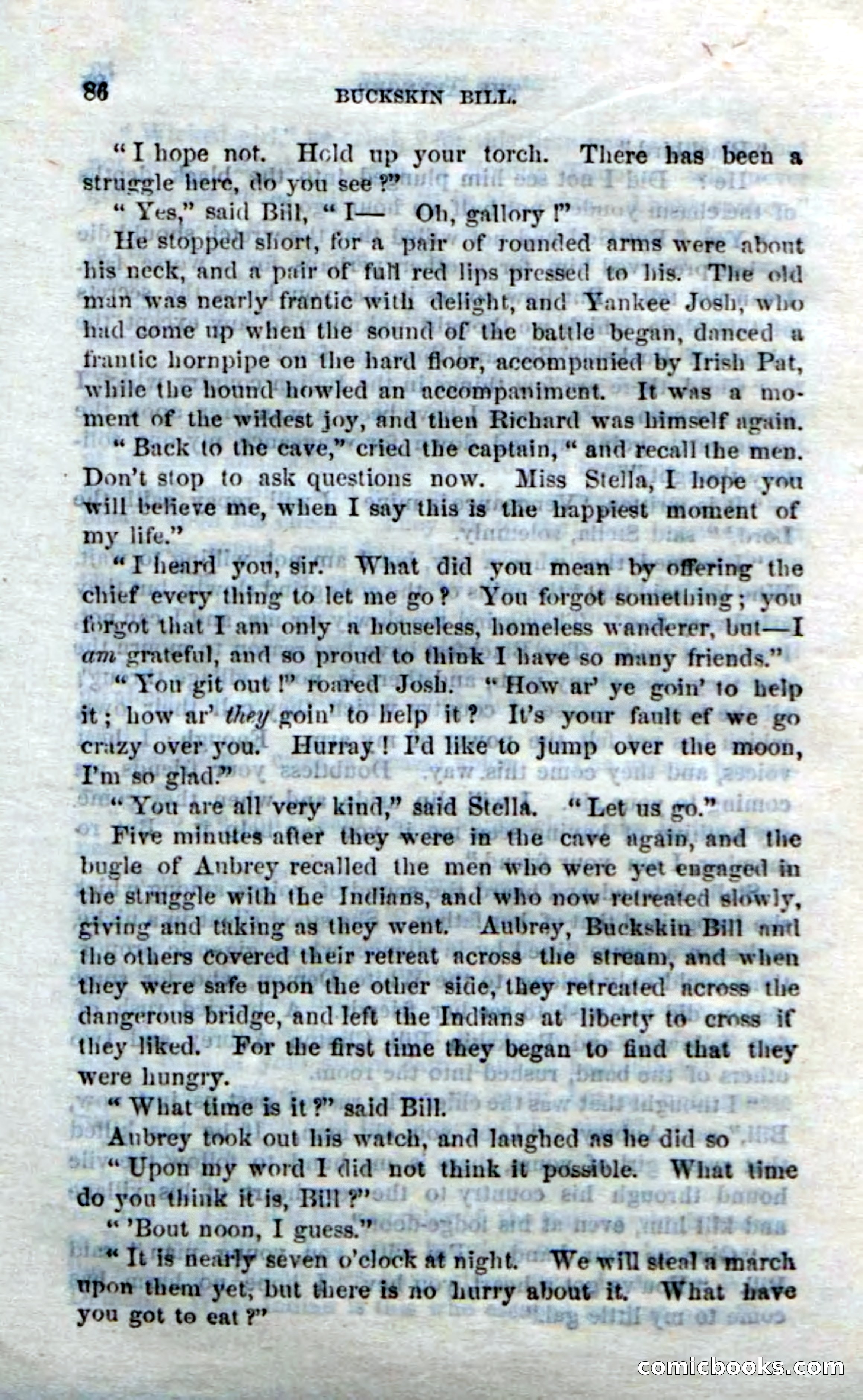 Beadle's Dime Novels No. 206: Buckskin Bill — page 84 of 100