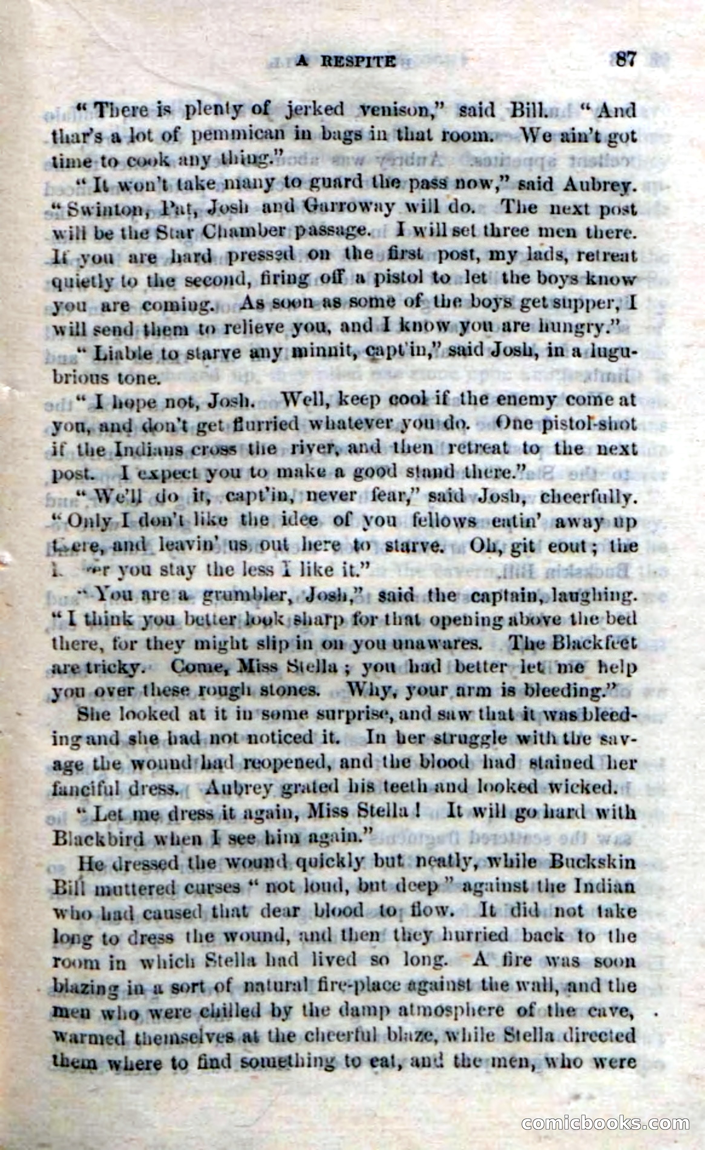 Beadle's Dime Novels No. 206: Buckskin Bill — page 85 of 100