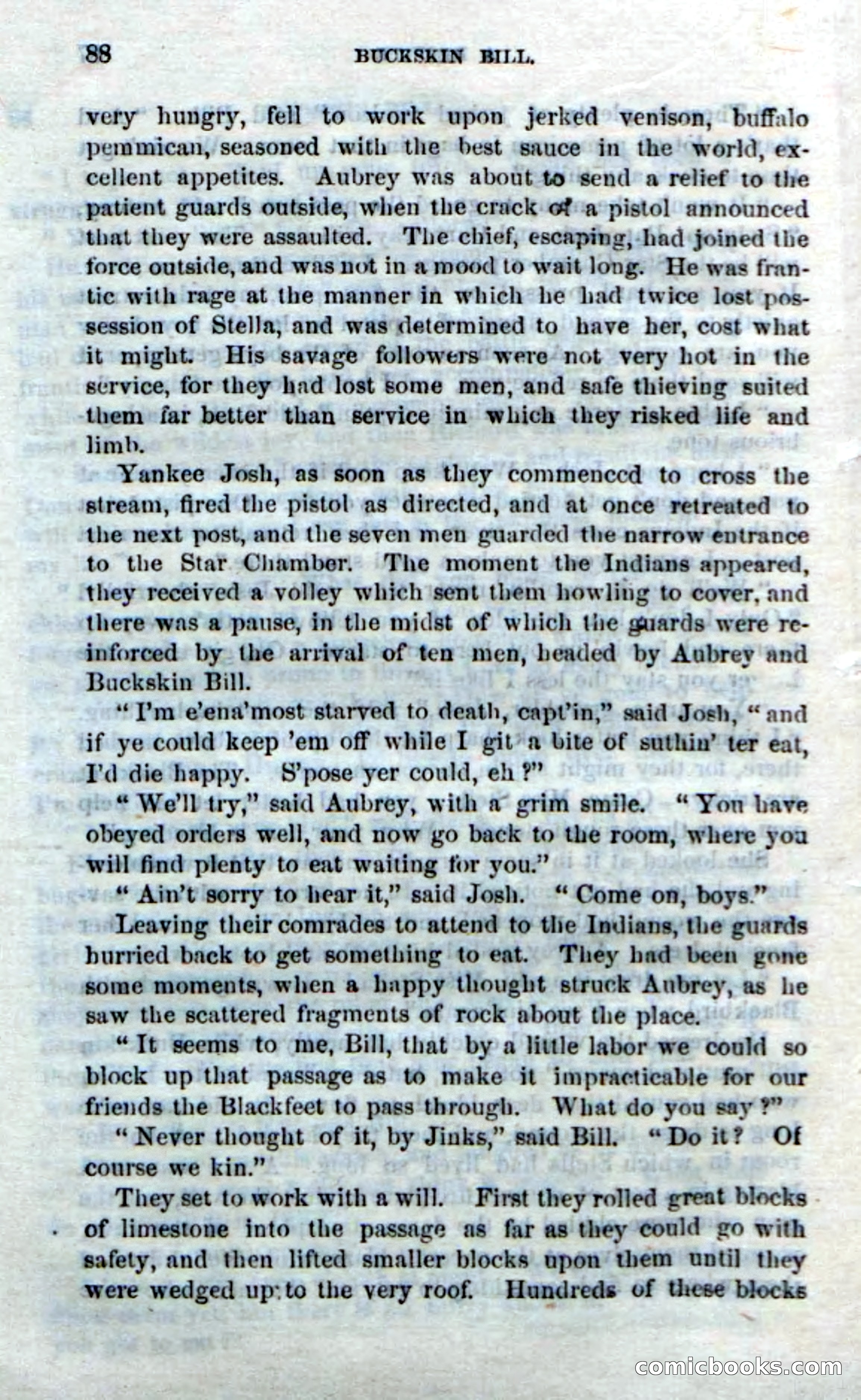 Beadle's Dime Novels No. 206: Buckskin Bill — page 86 of 100