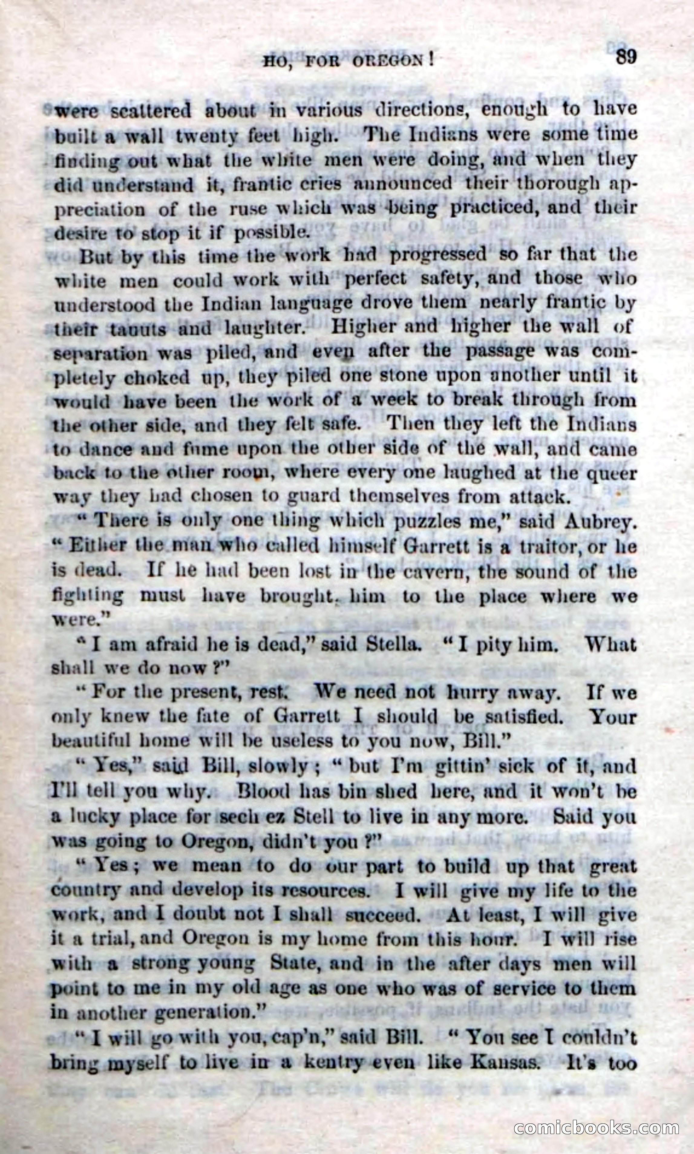 Beadle's Dime Novels No. 206: Buckskin Bill — page 87 of 100