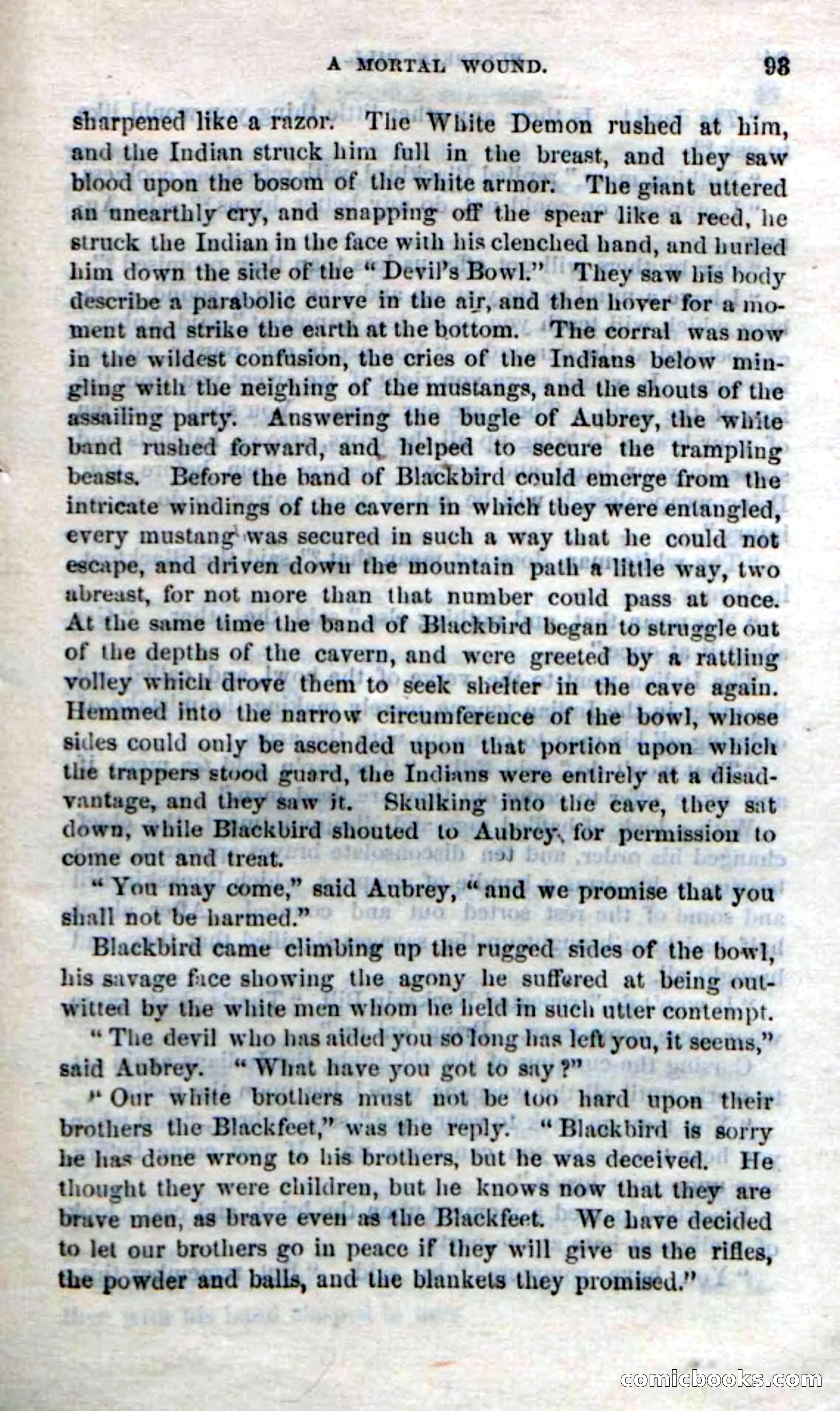 Beadle's Dime Novels No. 206: Buckskin Bill — page 91 of 100