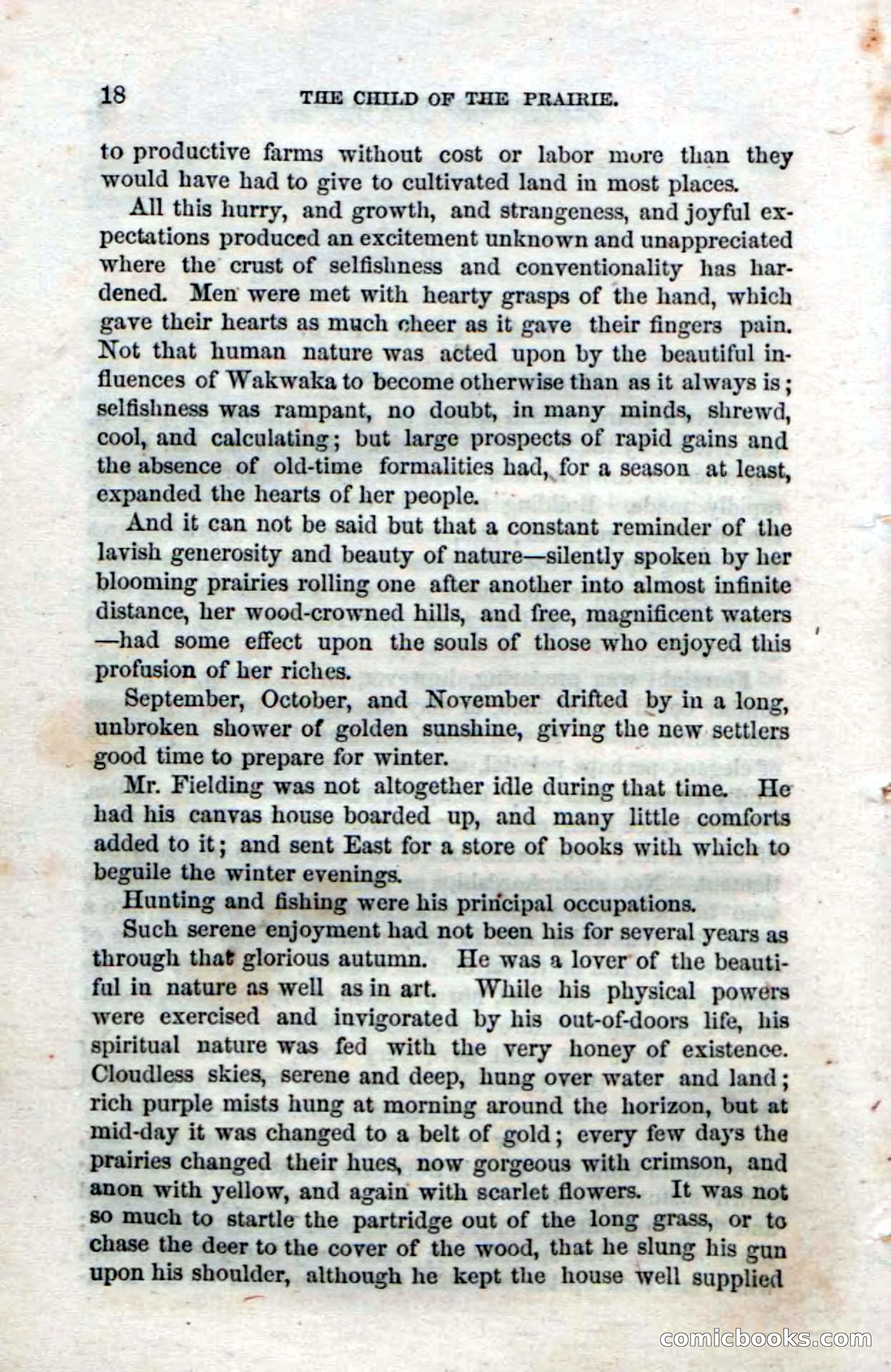 Beadle's Dime Novels No. 23 — page 88 of 139