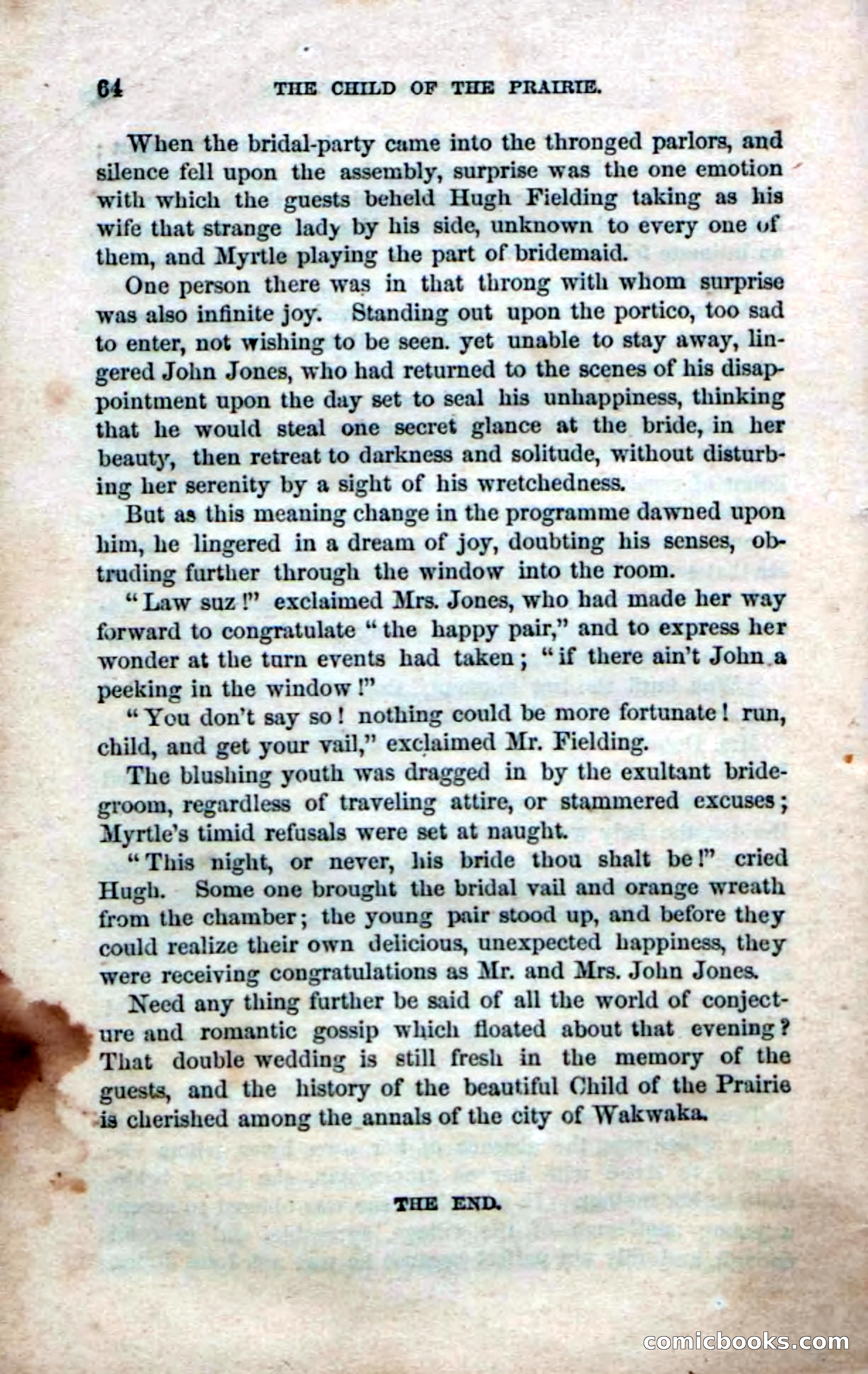 Beadle's Dime Novels No. 23 — page 134 of 139