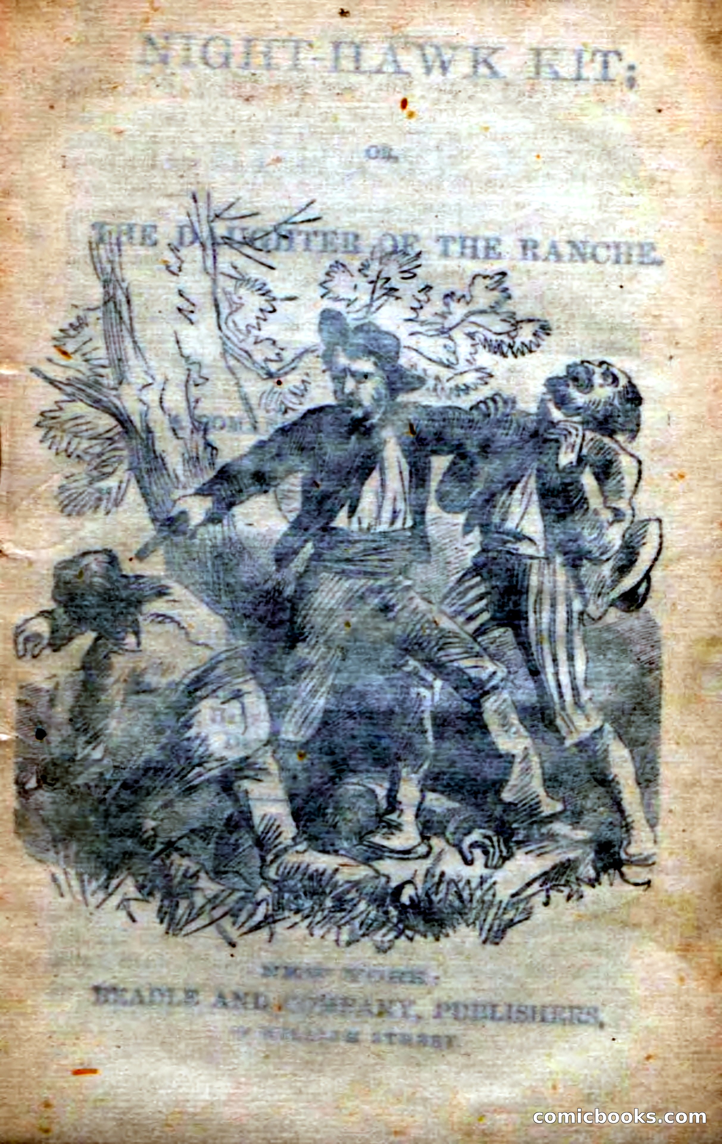 Beadle's Dime Novels No. 238: Night-Hawk Kit — page 3 of 100