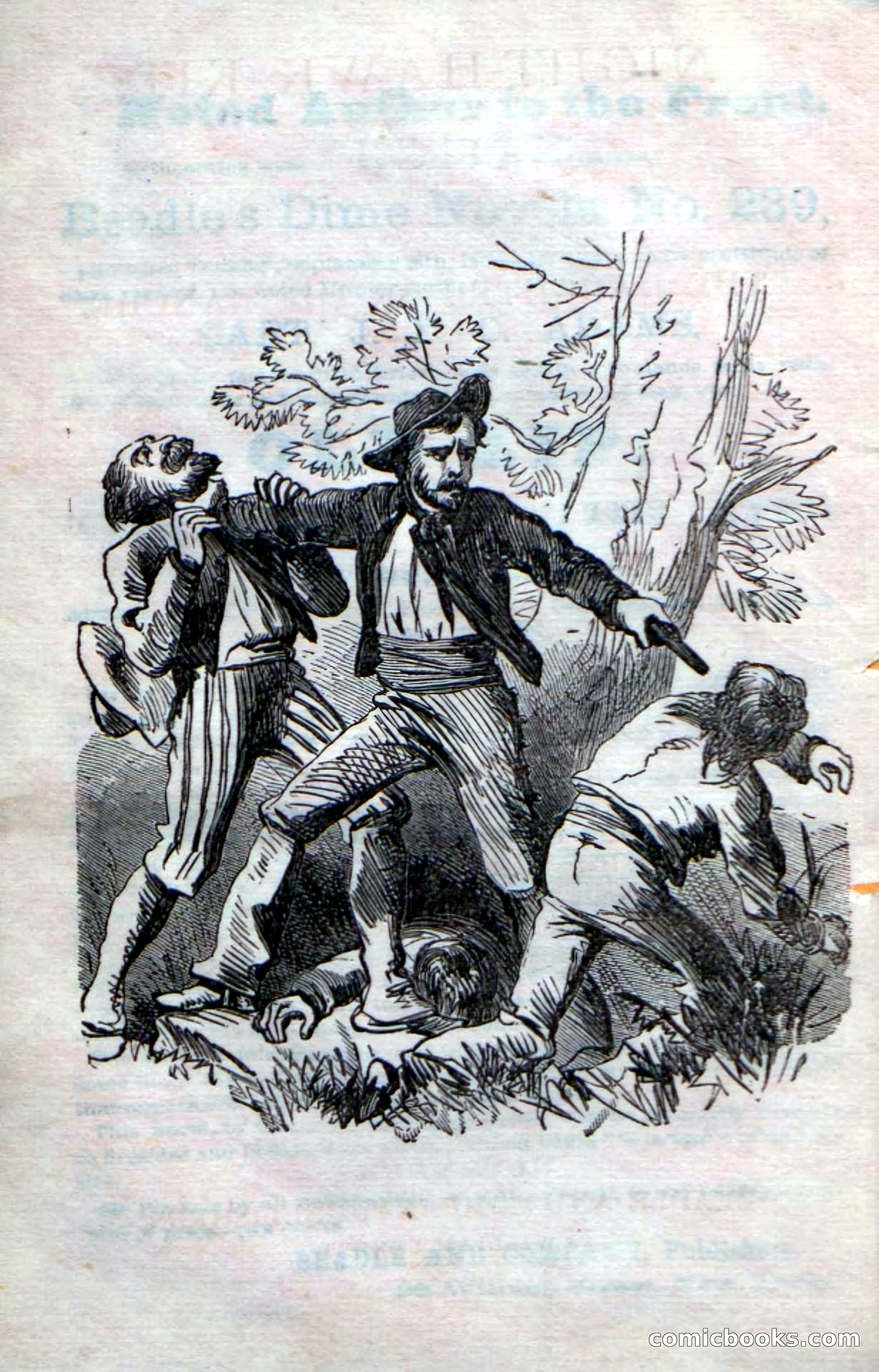 Beadle's Dime Novels No. 238: Night-Hawk Kit — page 4 of 100
