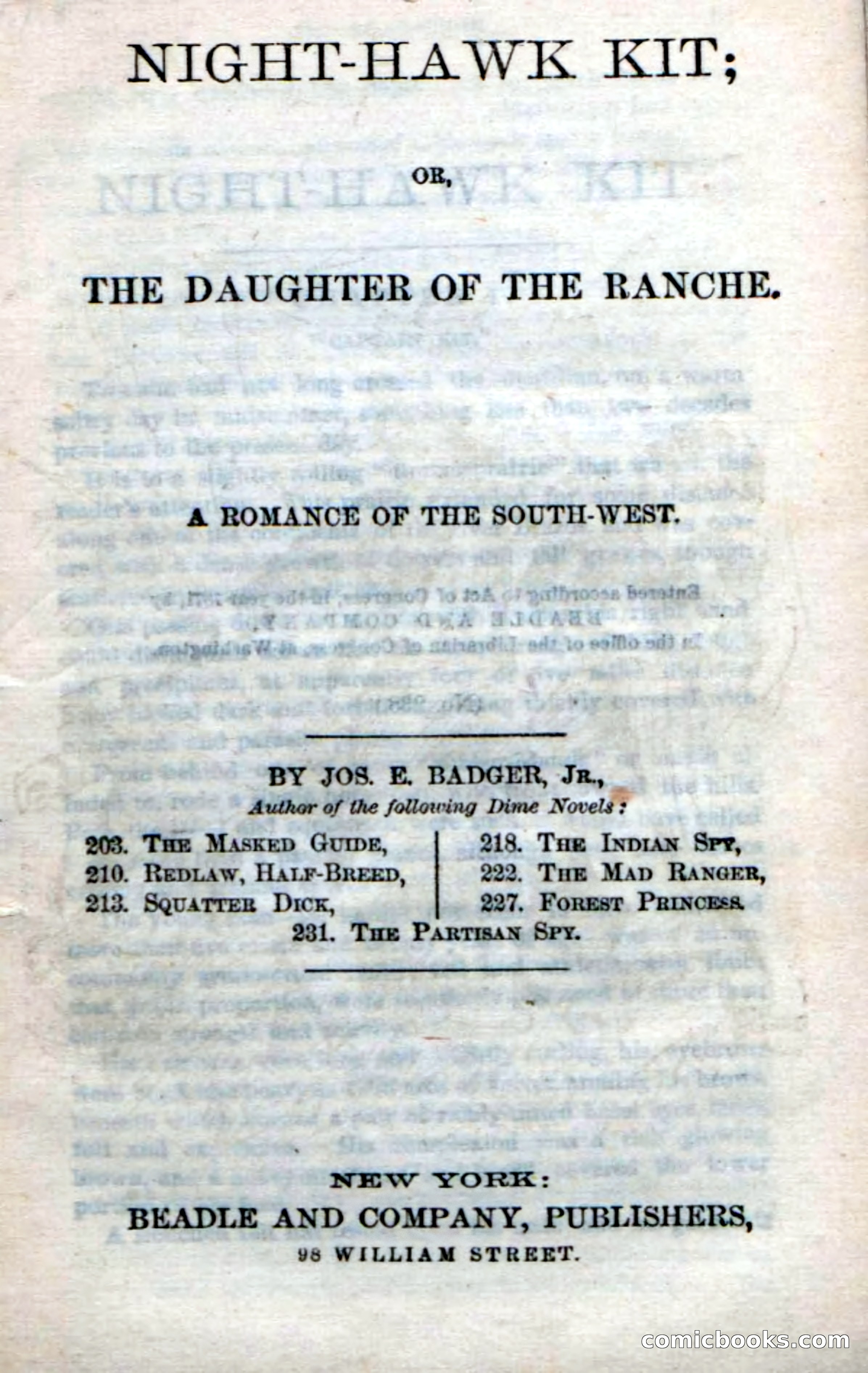 Beadle's Dime Novels No. 238: Night-Hawk Kit — page 5 of 100