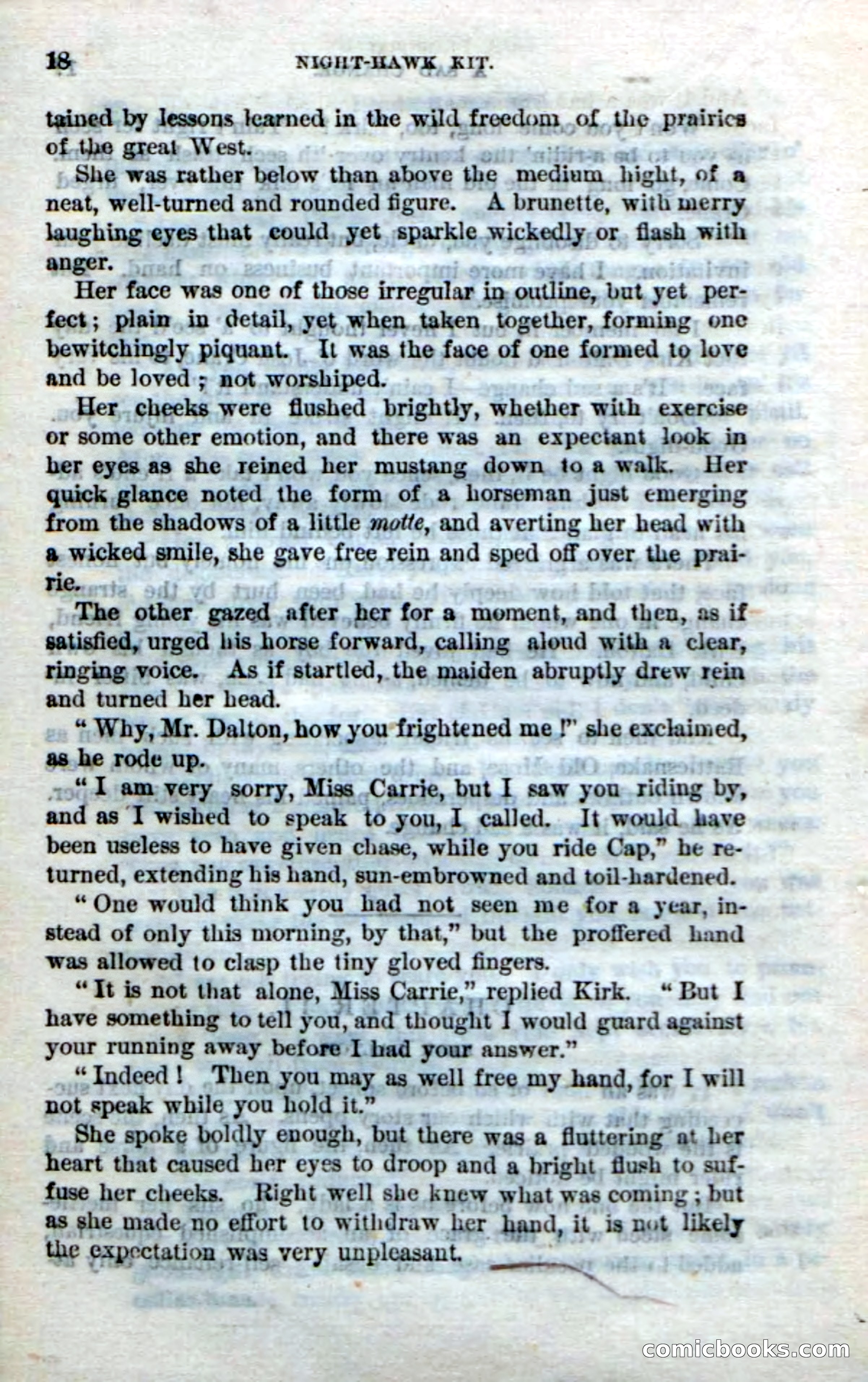 Beadle's Dime Novels No. 238: Night-Hawk Kit — page 16 of 100