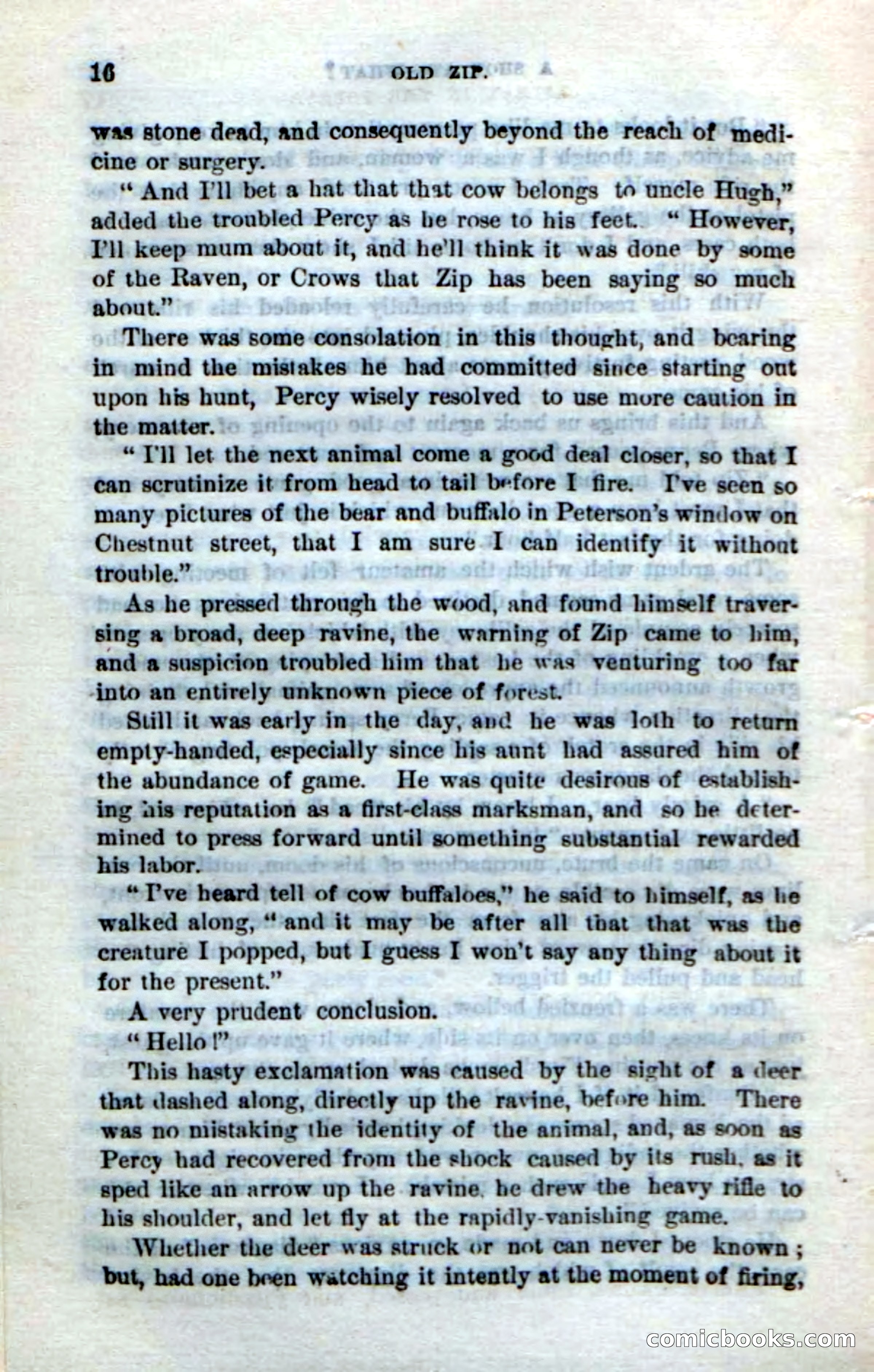 Beadle's Dime Novels No. 239: Old Zip — page 12 of 100