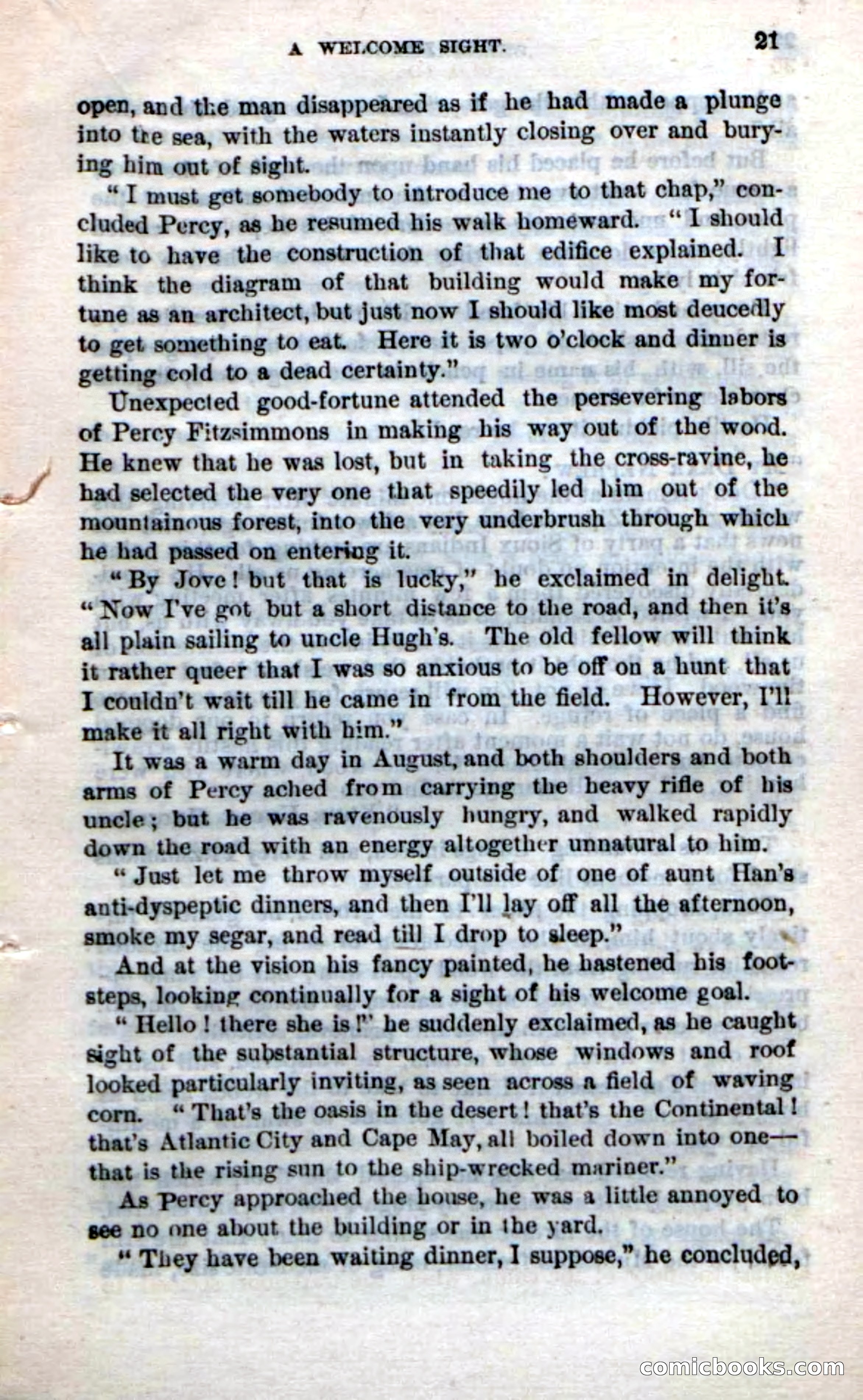 Beadle's Dime Novels No. 239: Old Zip — page 17 of 100