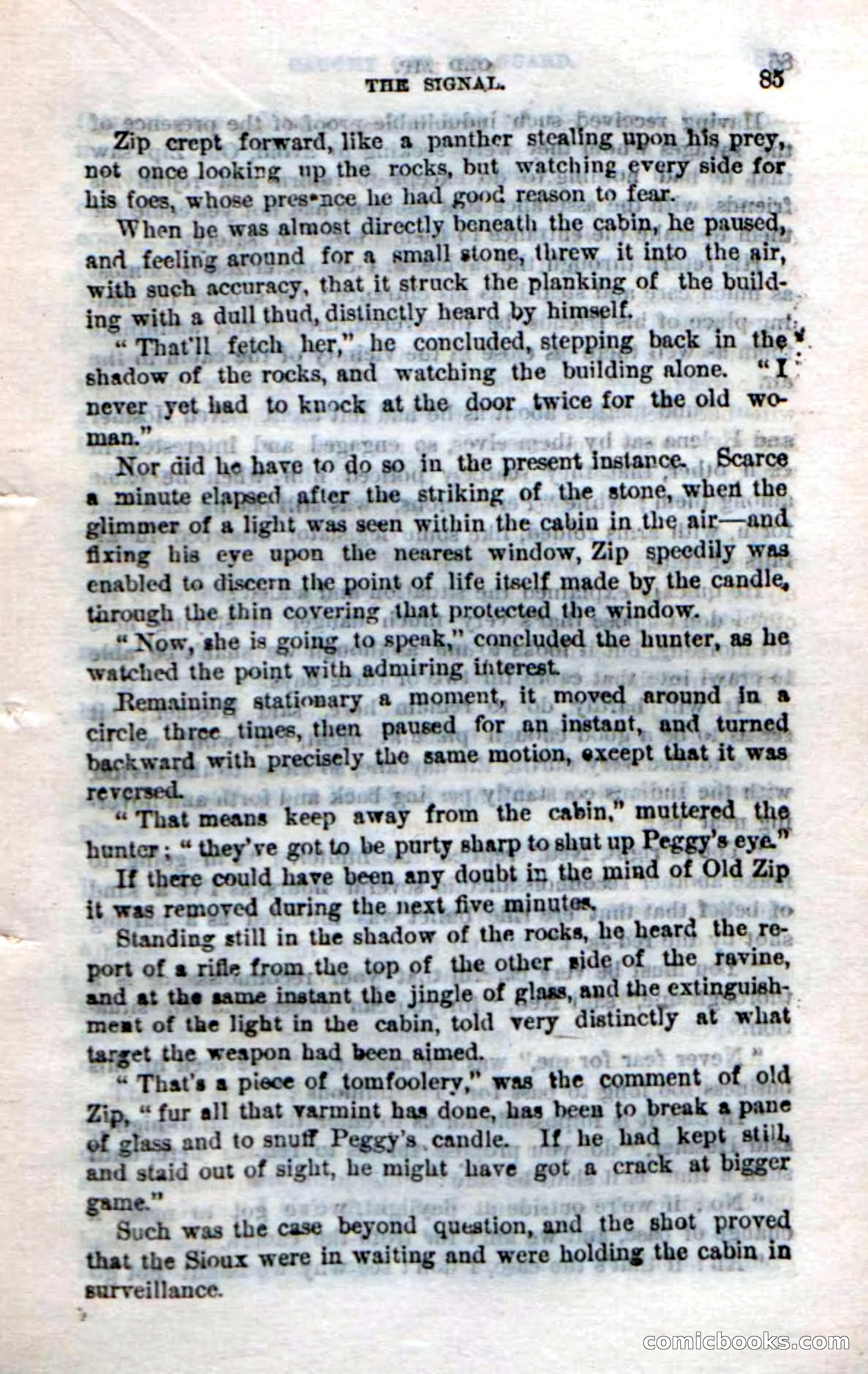 Beadle's Dime Novels No. 239: Old Zip — page 81 of 100