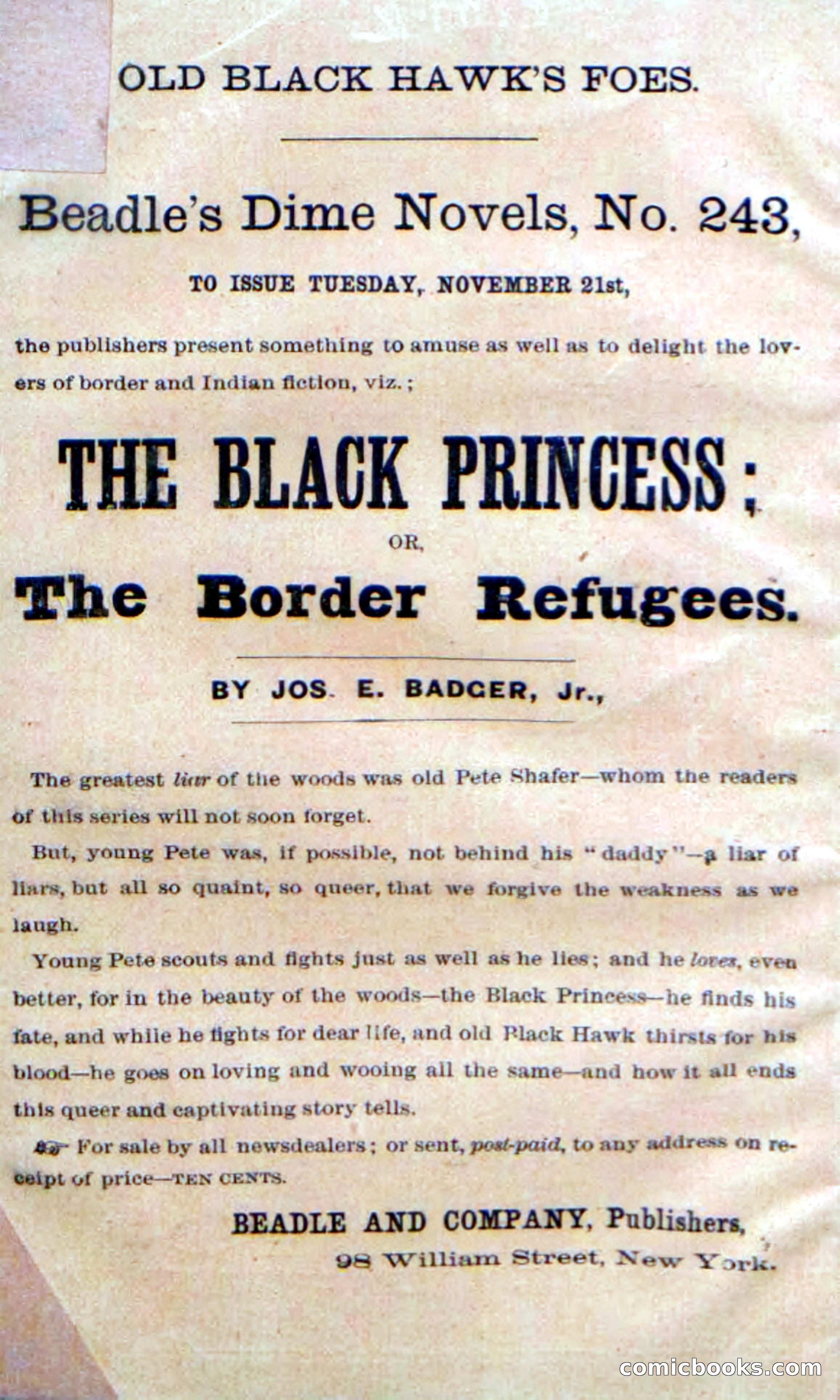 Beadle's Dime Novels No. 242 — page 2 of 100