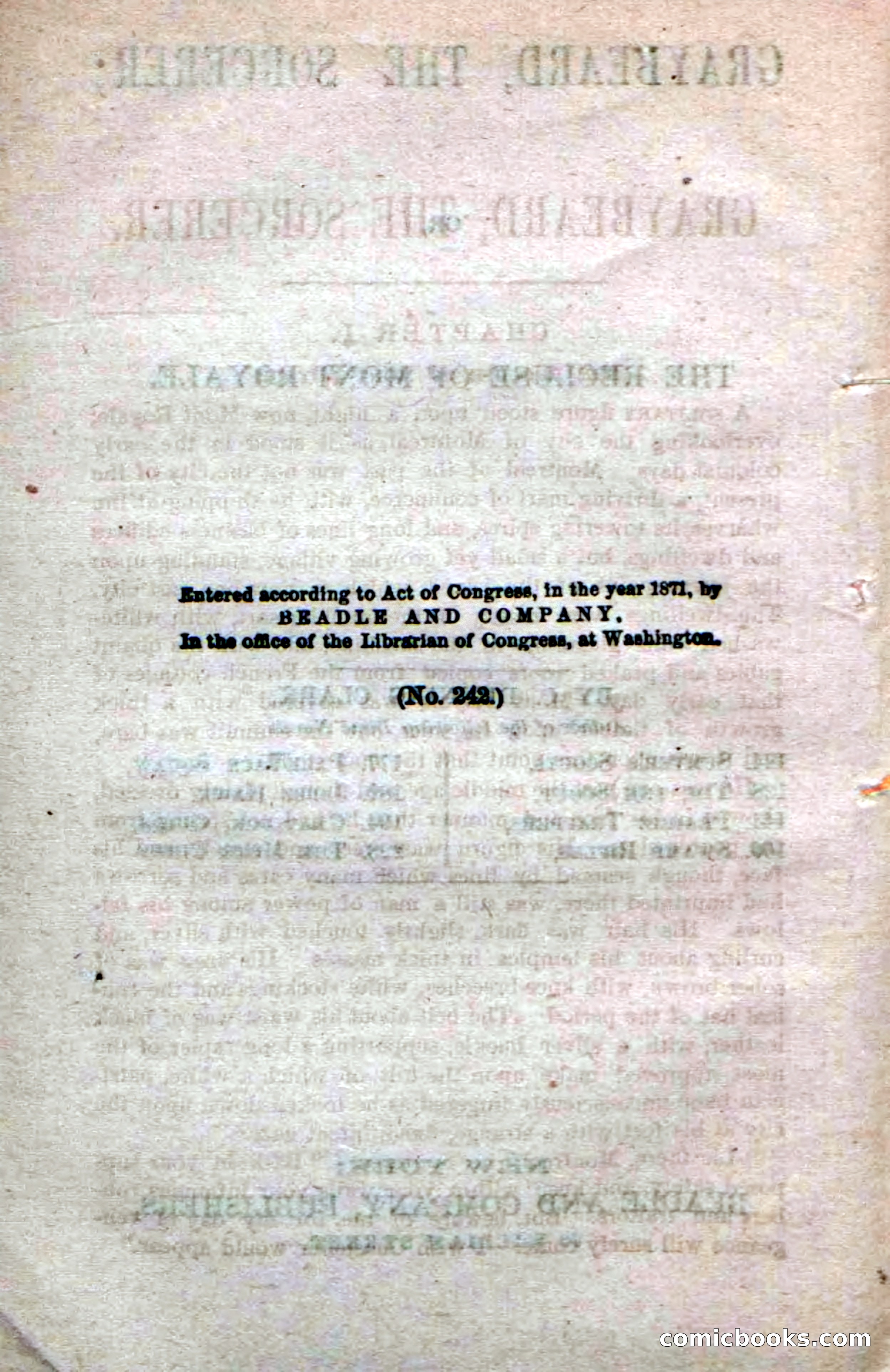 Beadle's Dime Novels No. 242 — page 6 of 100