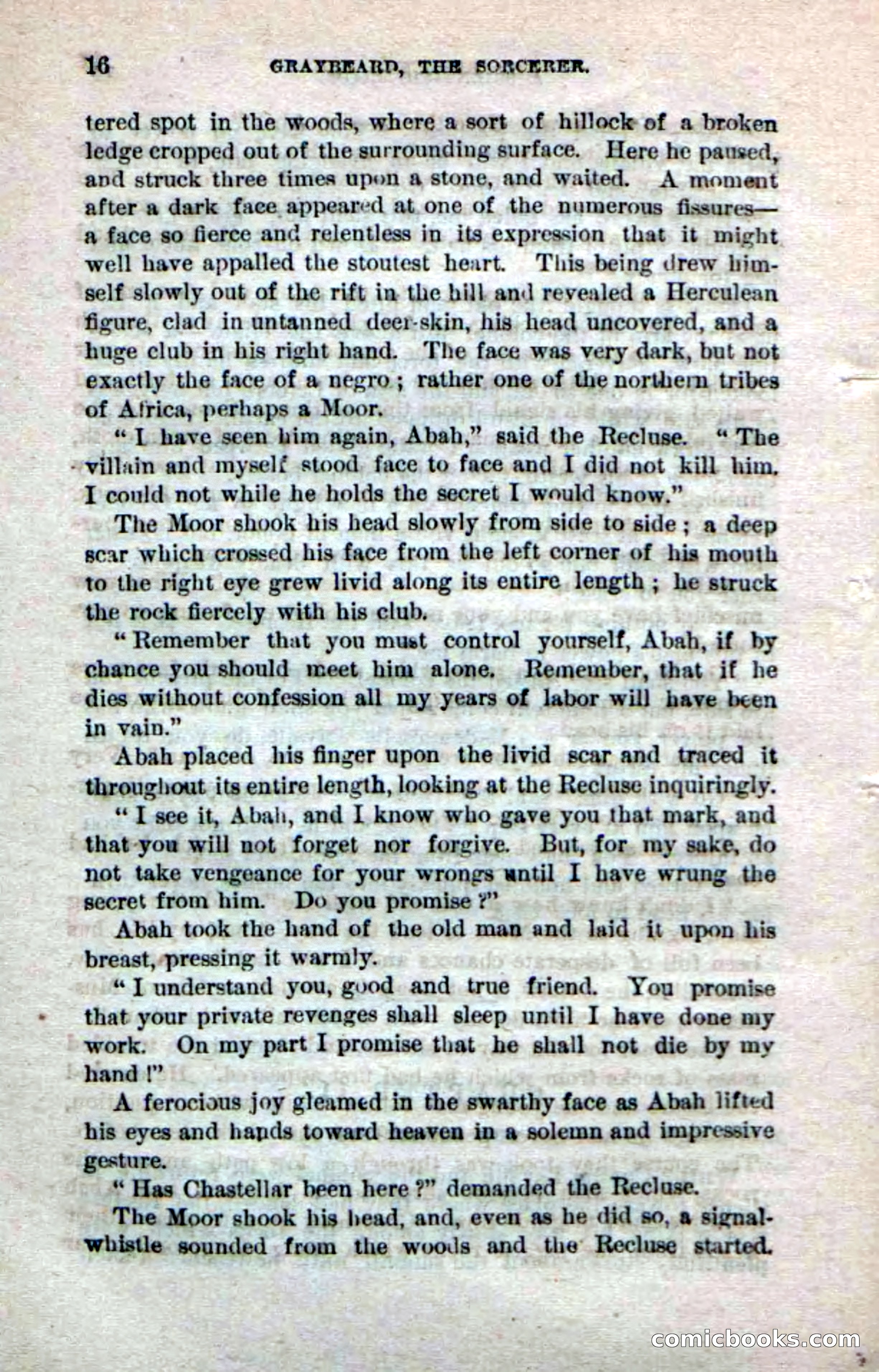 Beadle's Dime Novels No. 242 — page 14 of 100