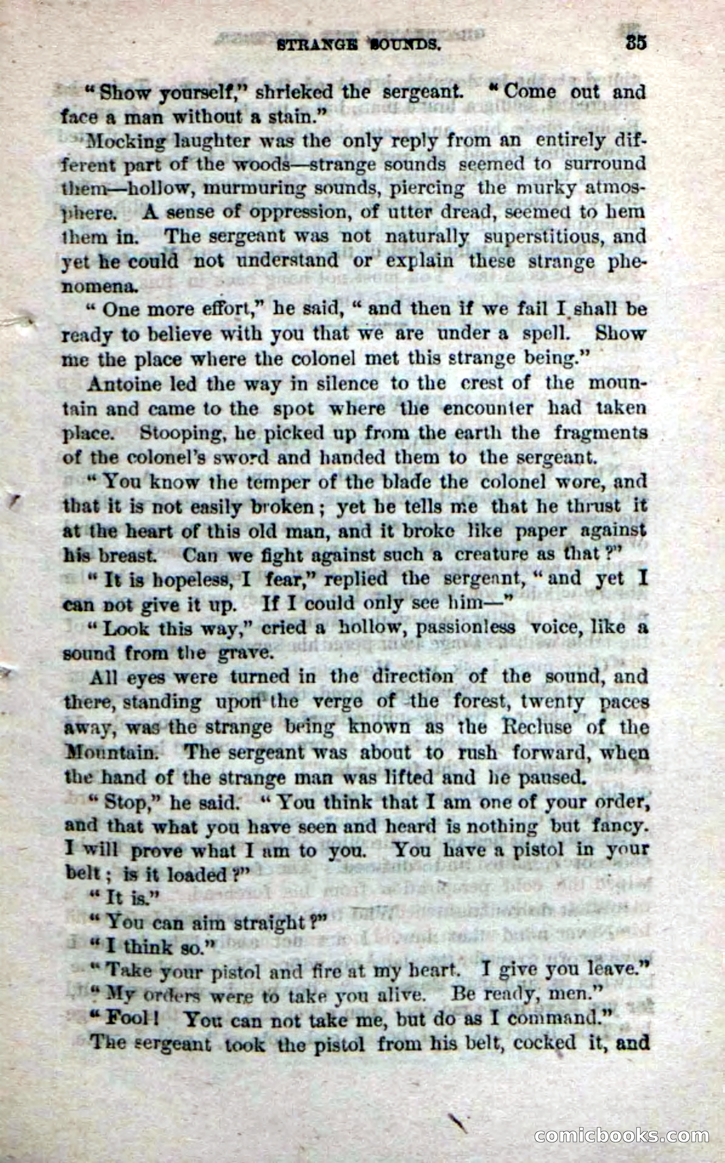 Beadle's Dime Novels No. 242 — page 33 of 100