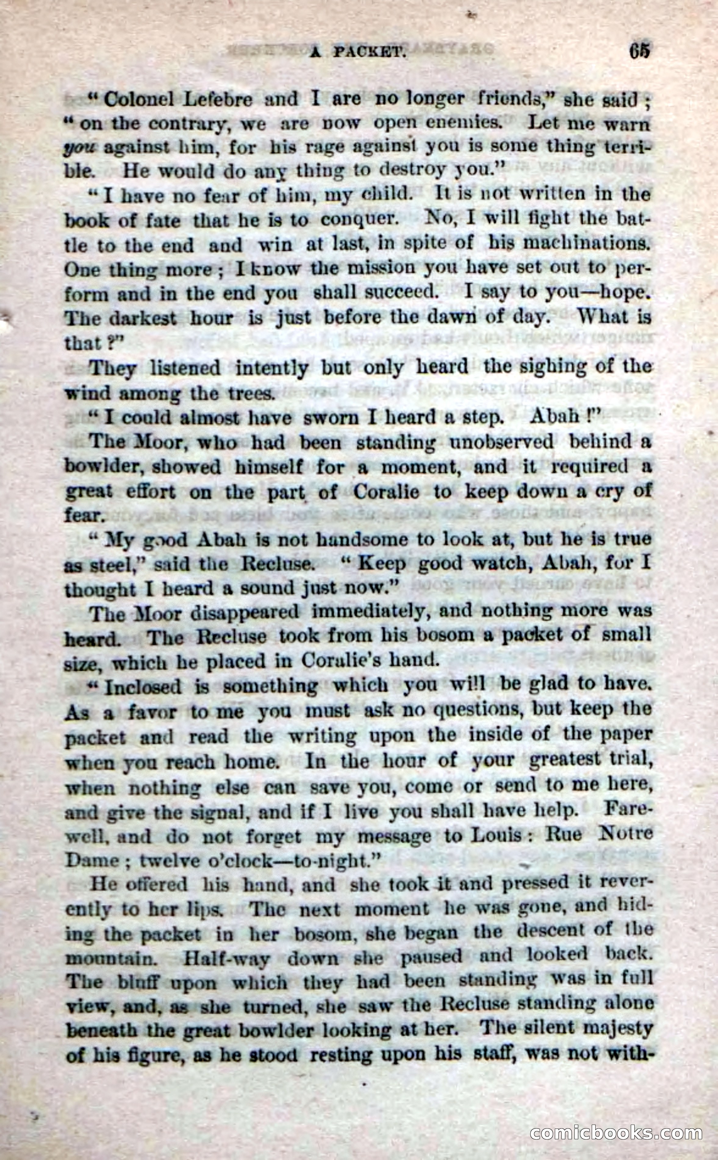 Beadle's Dime Novels No. 242 — page 63 of 100