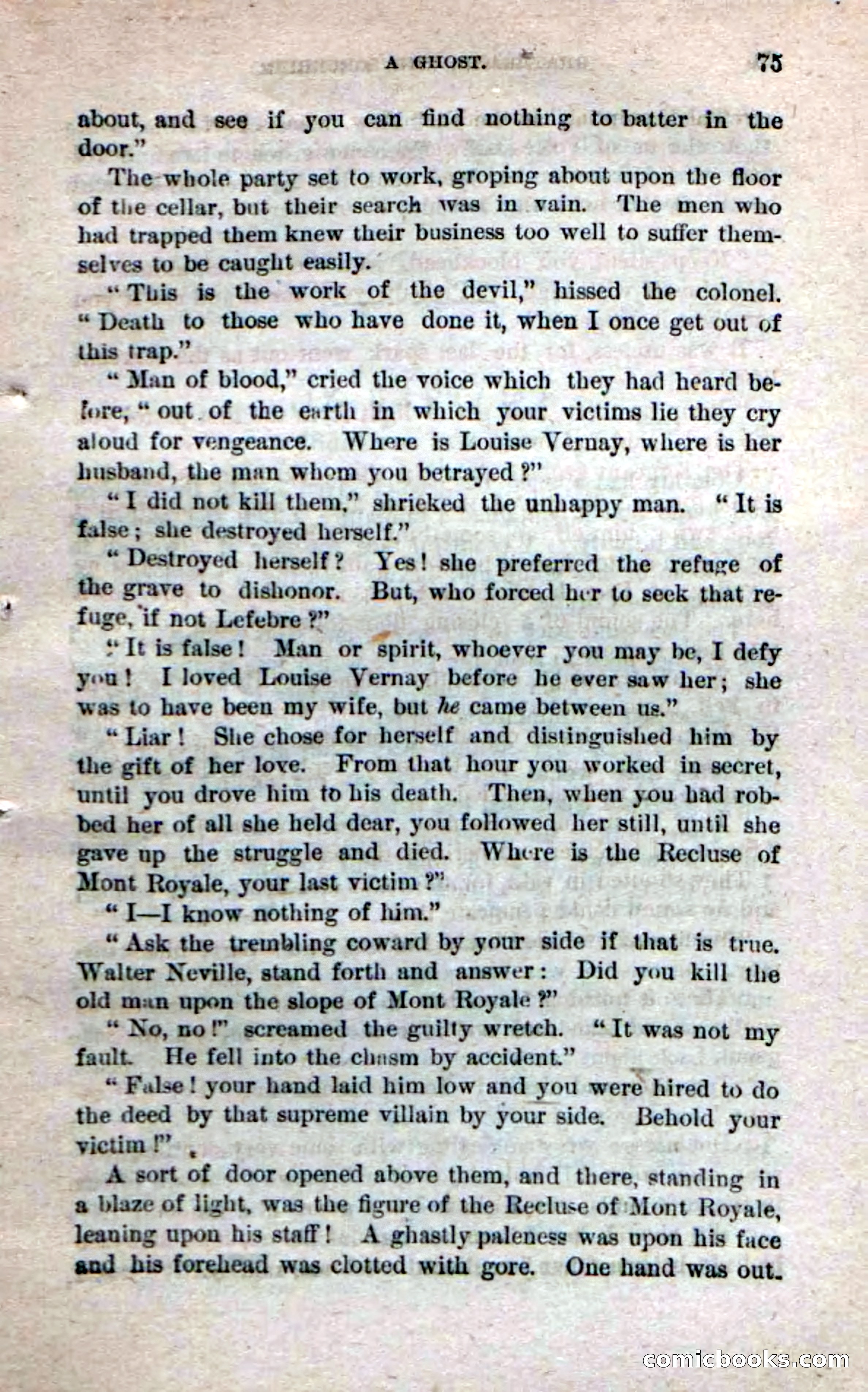 Beadle's Dime Novels No. 242 — page 73 of 100