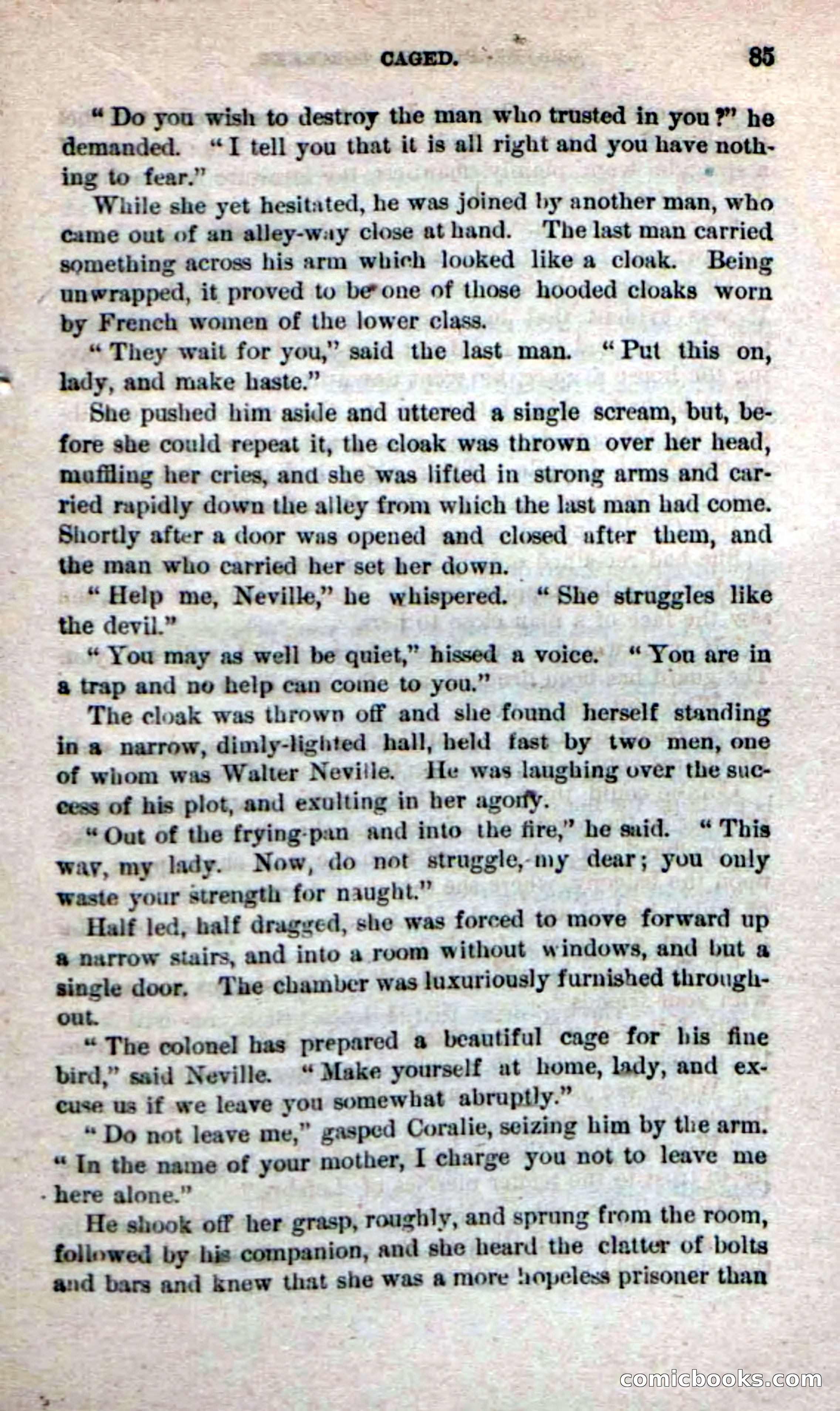 Beadle's Dime Novels No. 242 — page 83 of 100