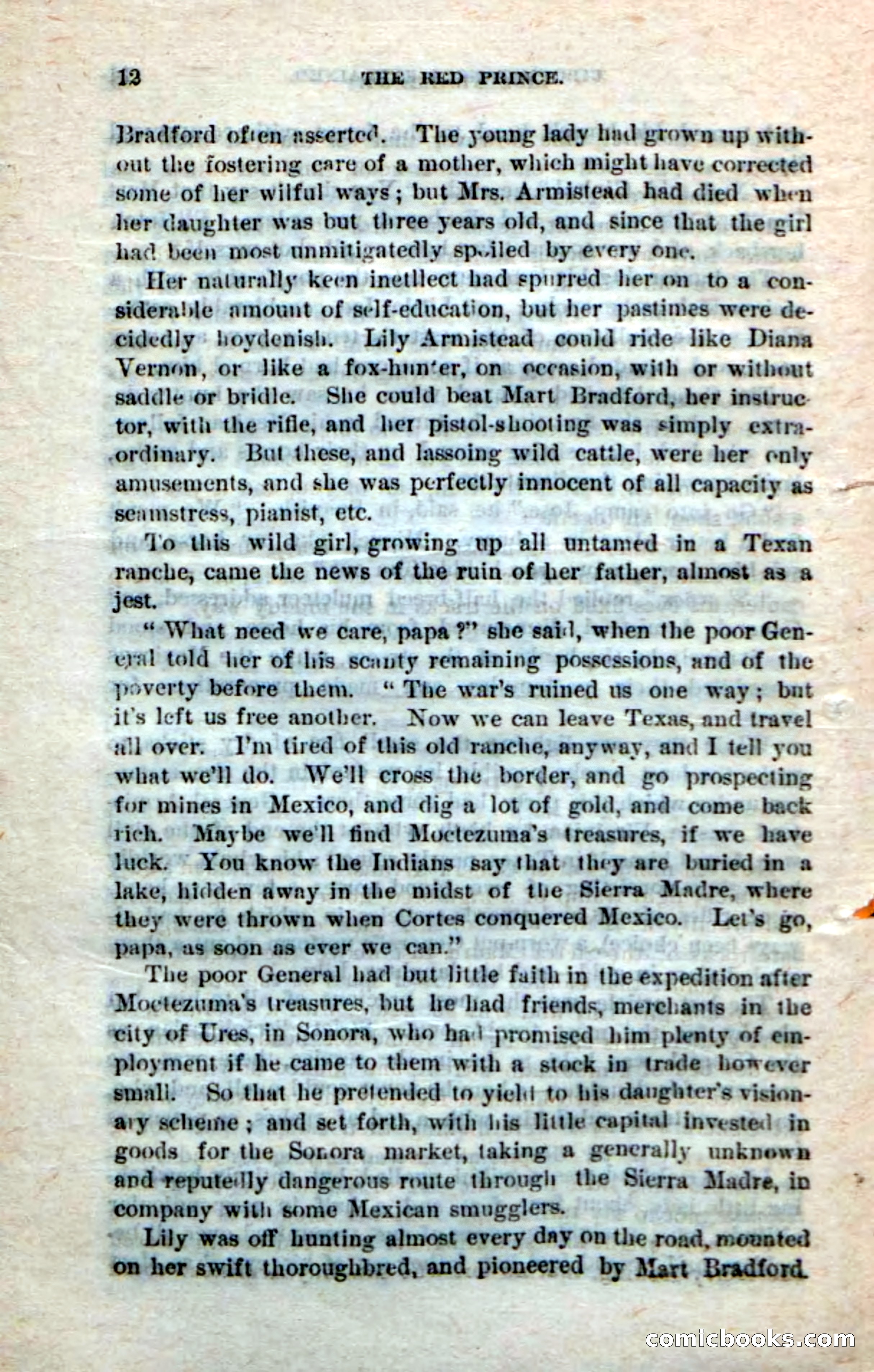 Beadle's Dime Novels No. 245: The Red Prince — page 10 of 100